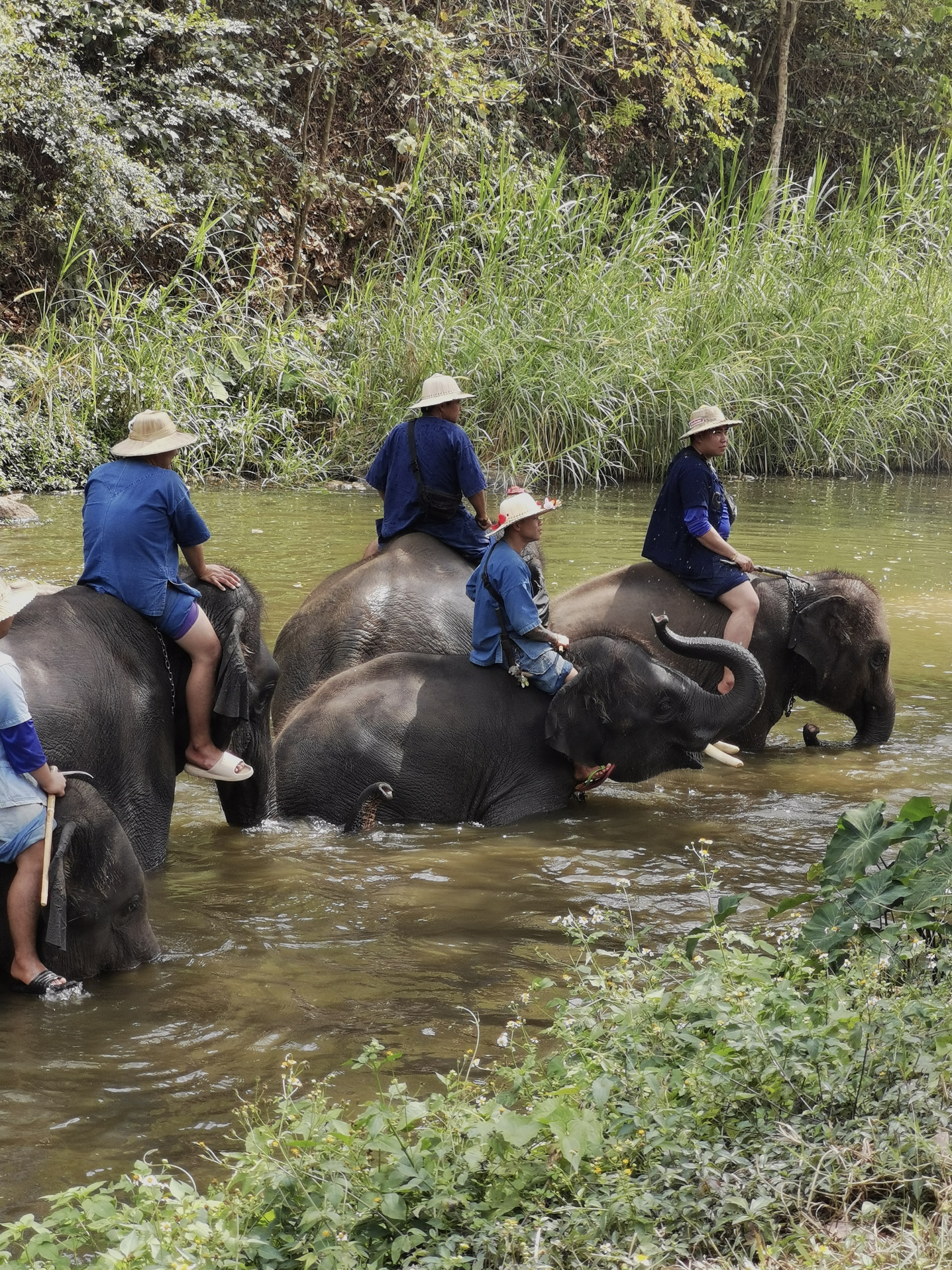 Прощание с Севером: от слонов к морю