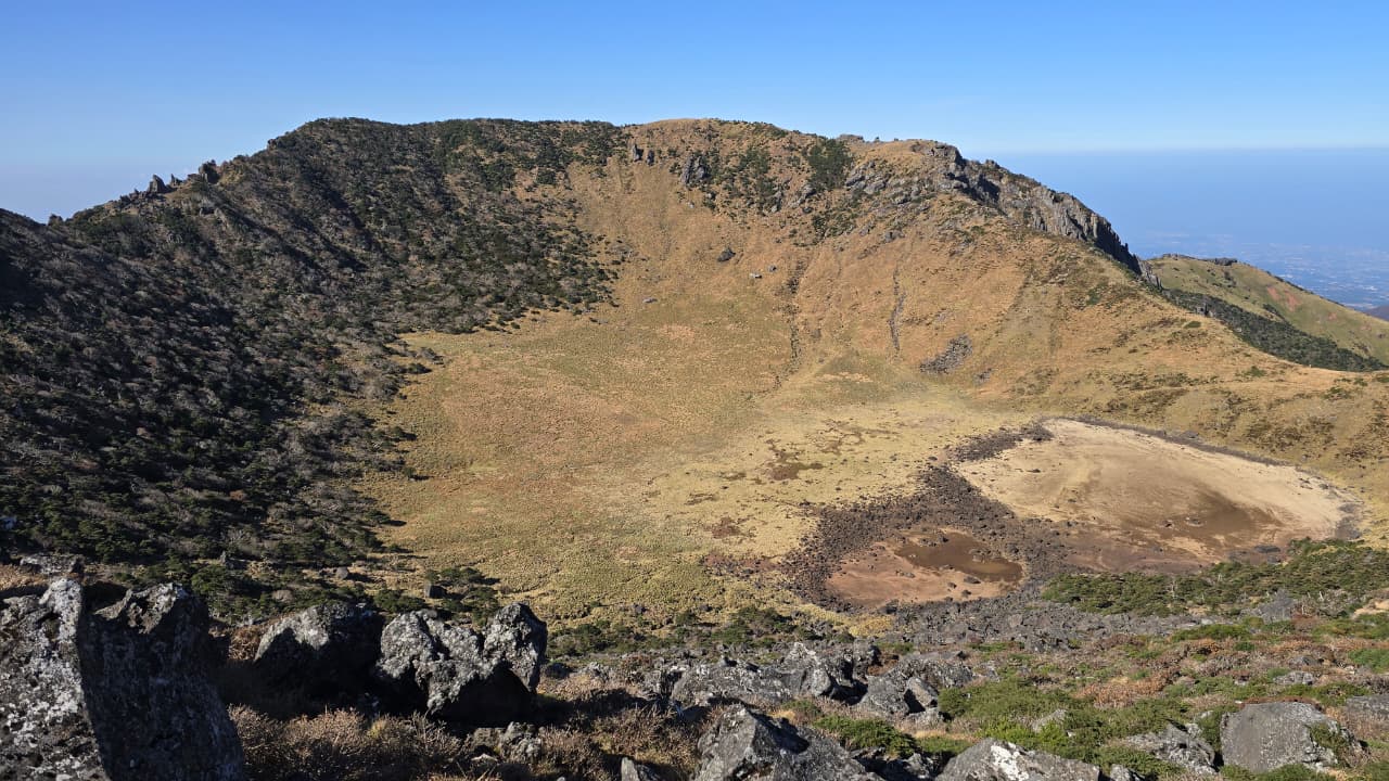 Южная Корея. Сакура в утренней свежести (28/34)