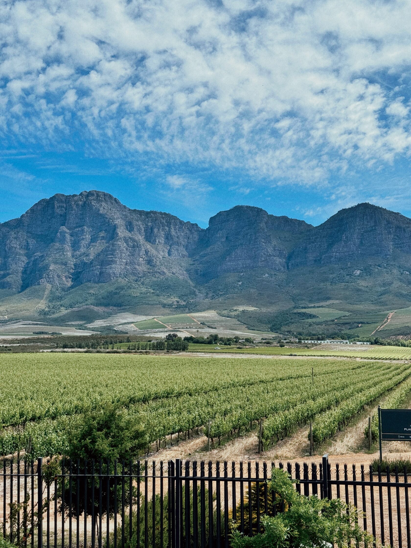 Стелленбош