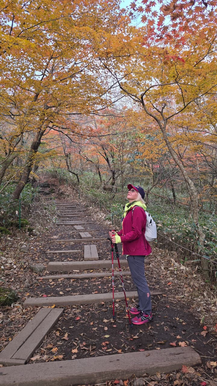 Южная Корея. Сакура в утренней свежести (29/34)