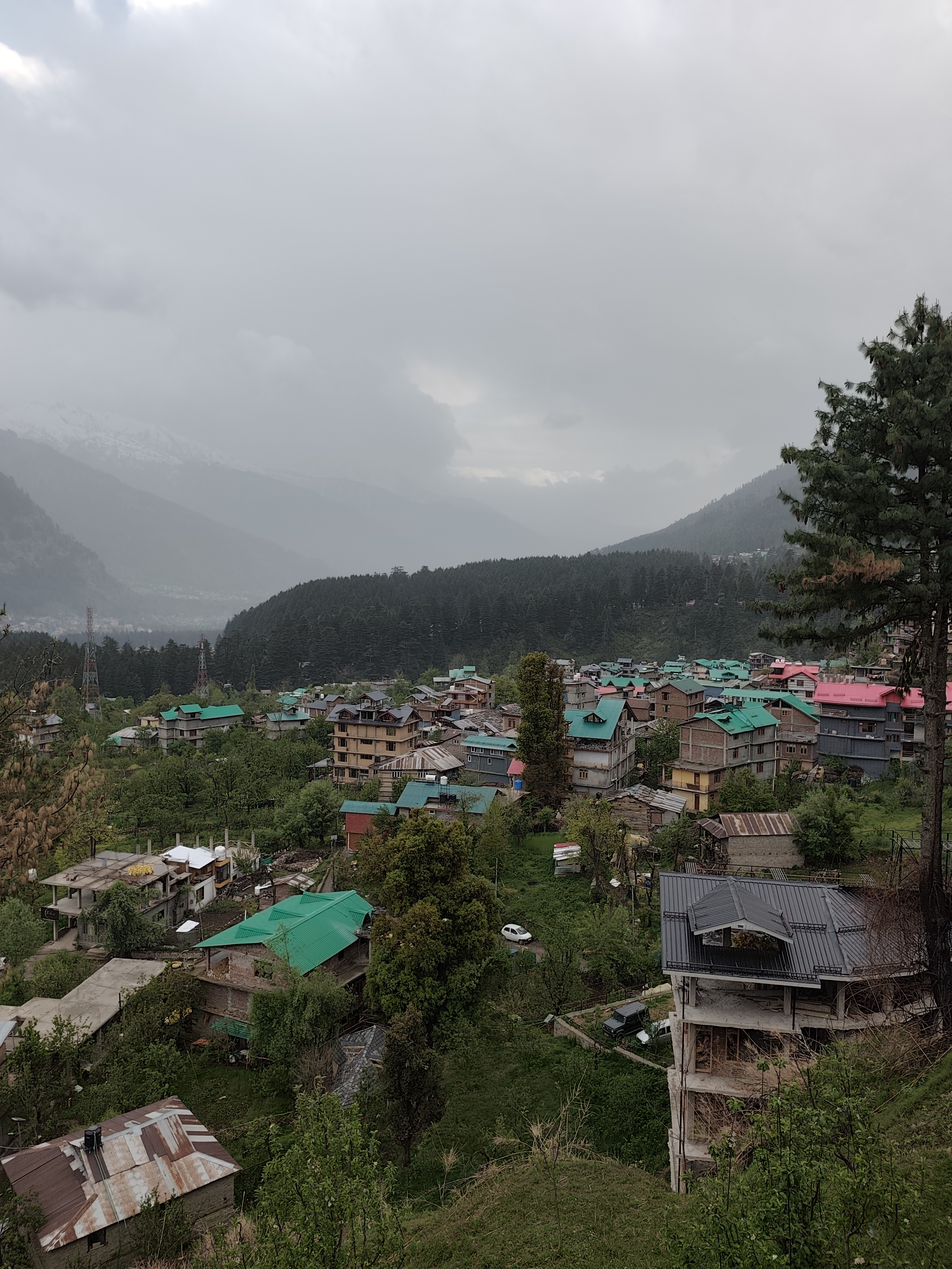 Индия глазами Рерихов (Гималаи, резиденция Далай Ламы) + Золотой треугольник (5/32)