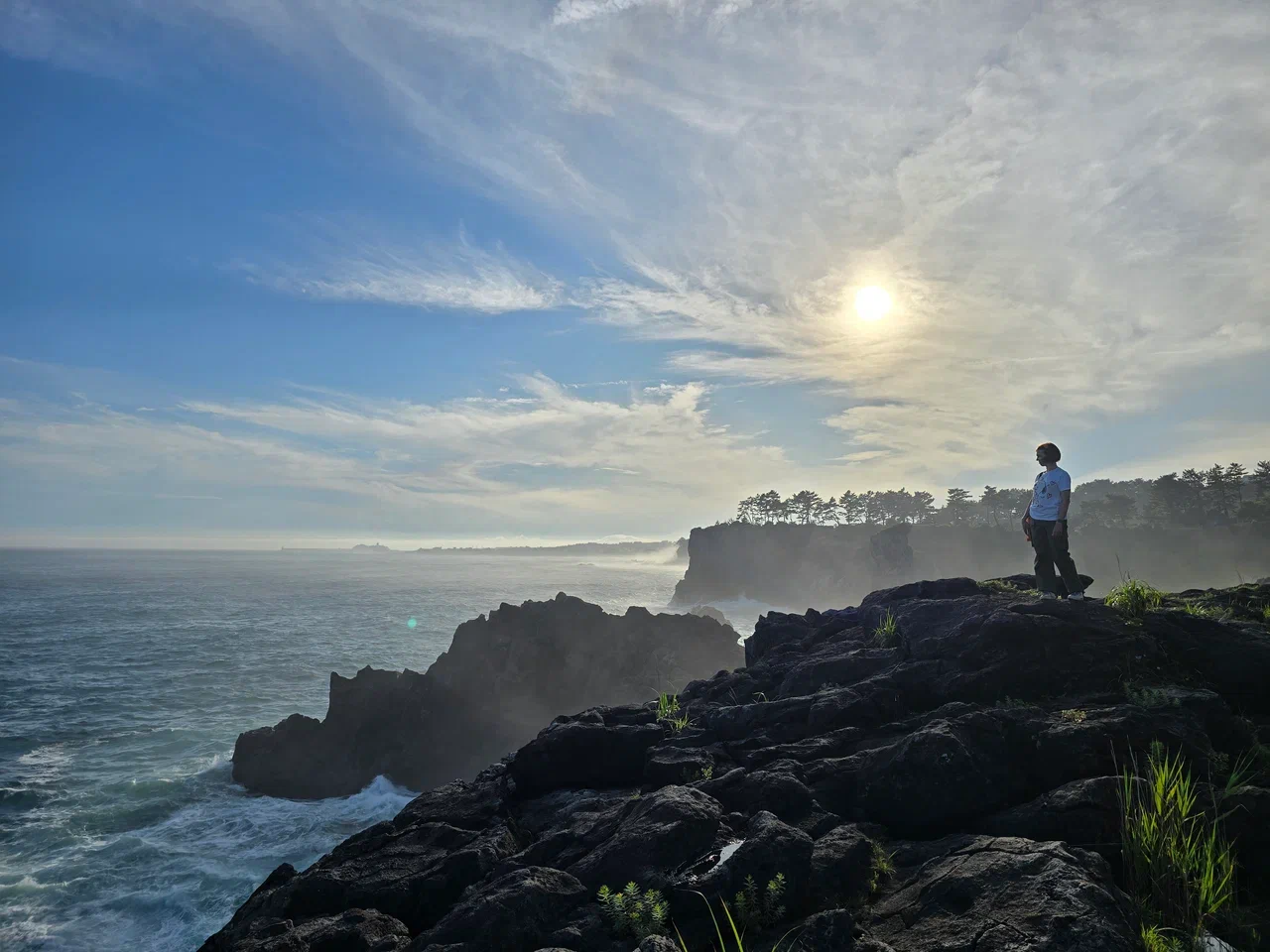 Южная Корея. Сакура в утренней свежести (26/34)