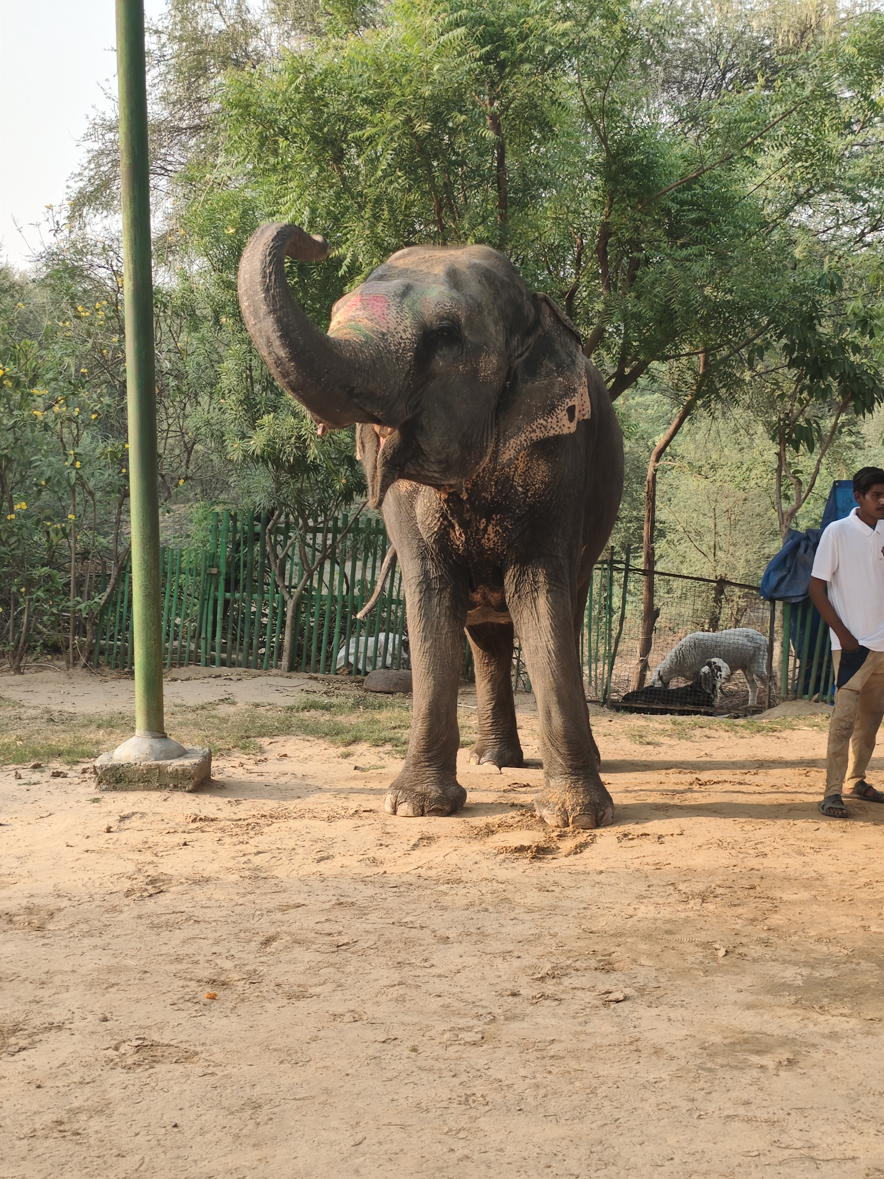 Индия глазами Рерихов (Гималаи, резиденция Далай Ламы) + Золотой треугольник (28/32)