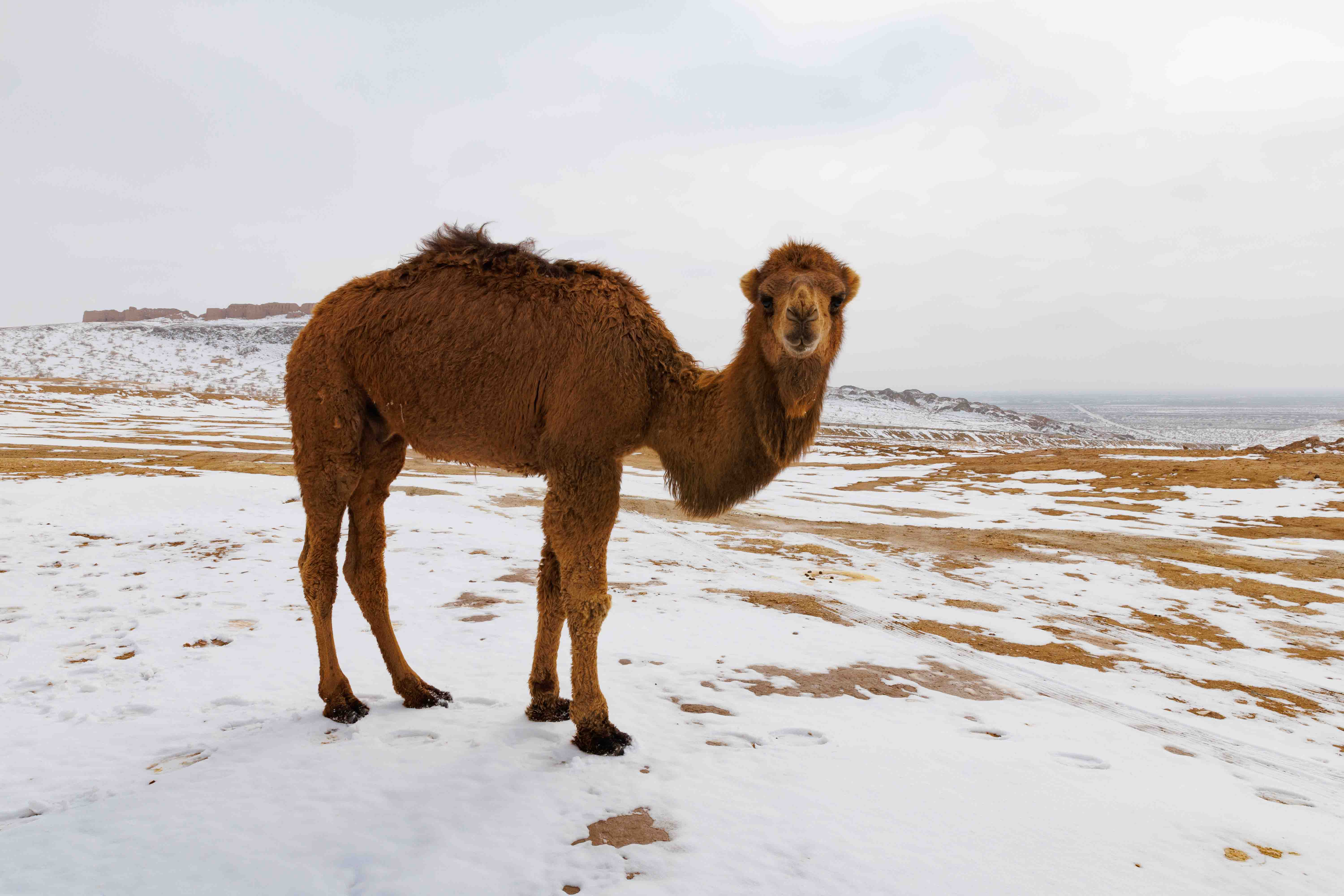 Самарканд, Бухара, Хива и семь озер Таджикистана (56/59)