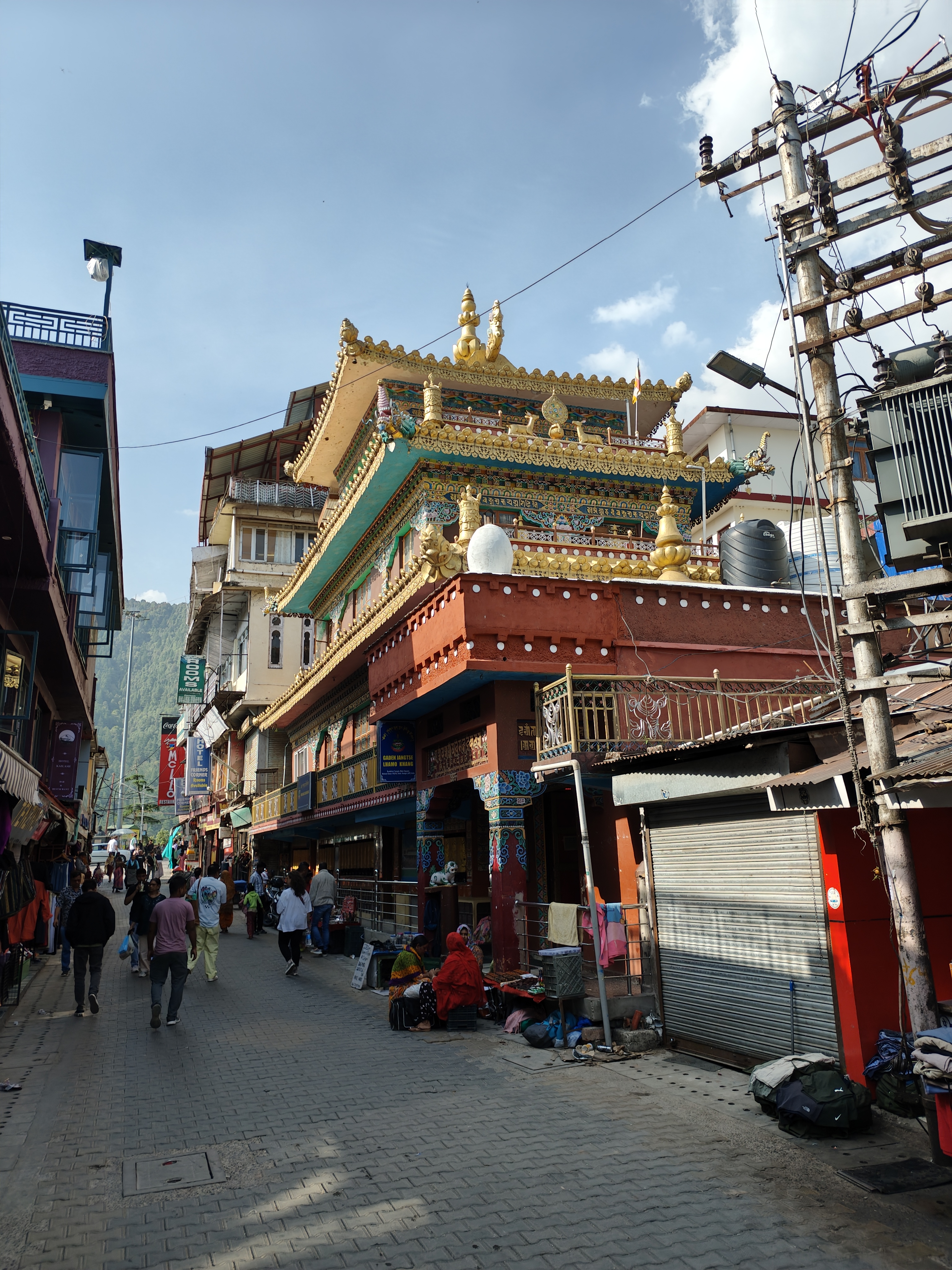 Индия глазами Рерихов (Гималаи, резиденция Далай Ламы) + Золотой треугольник (21/32)