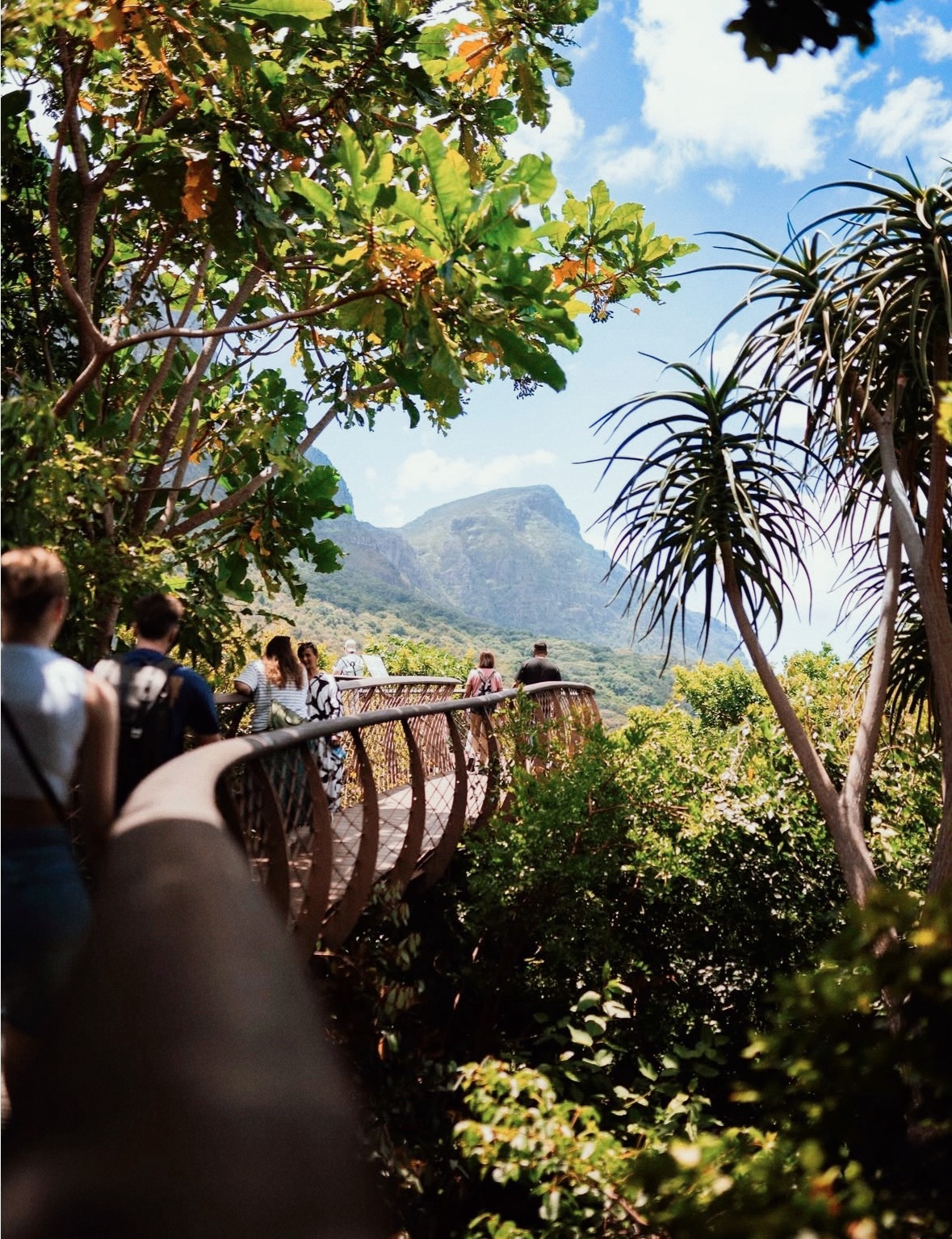 Ботанический сад Кирстенбош