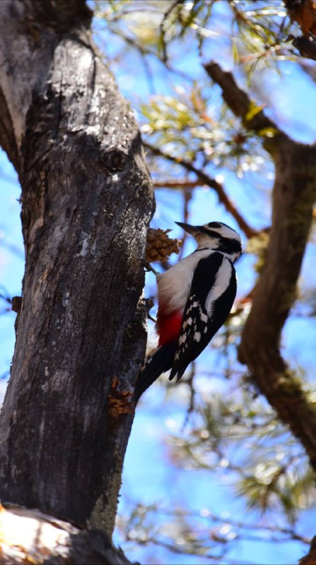 Поход по Чарским пескам — настоящая пустыня в Забайкалье (15/17)