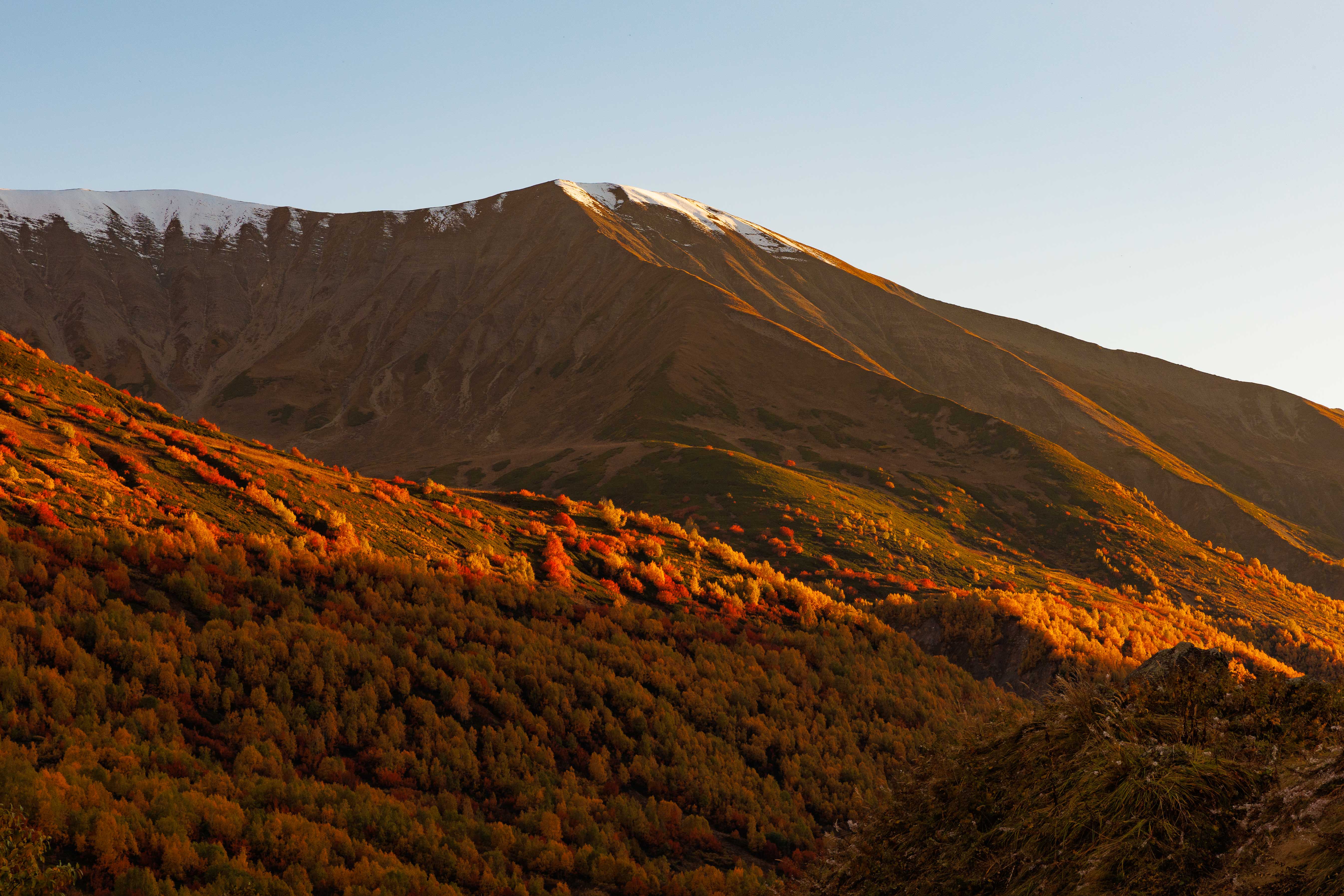 Сердце Кавказа! Сванетия! (11/56)