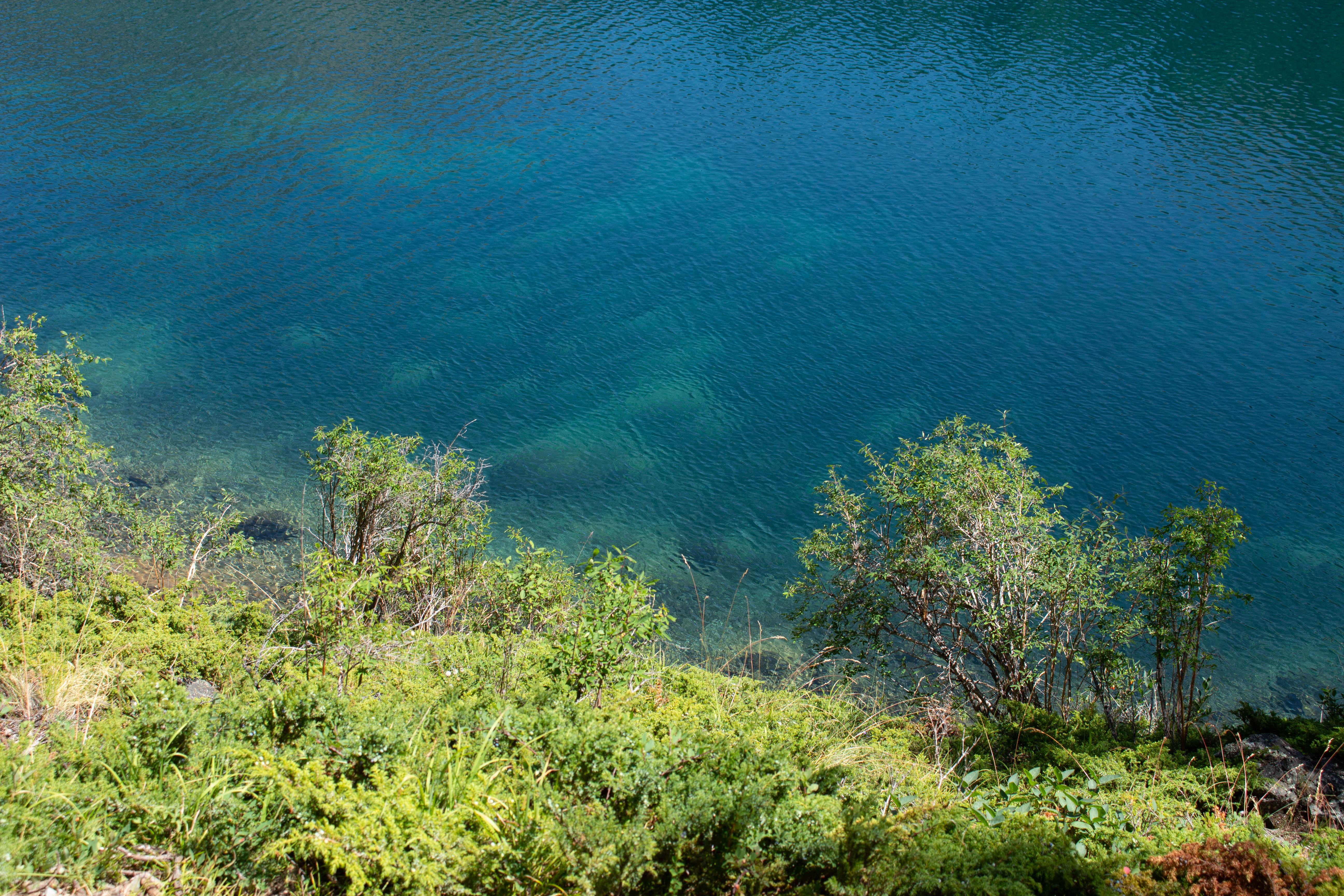 Алтай Драйв: 5 дней свободы. (18/45)
