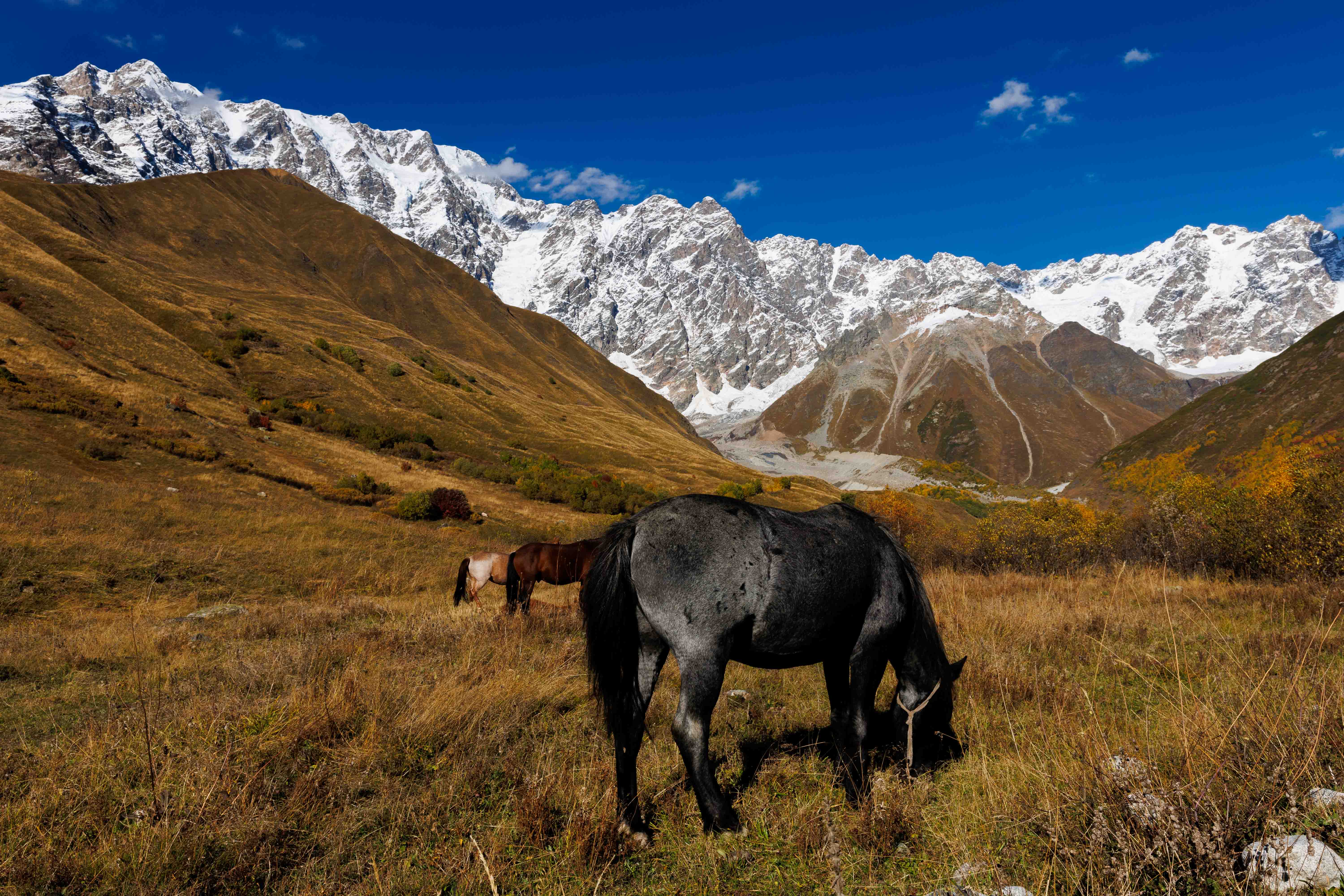 Сердце Кавказа! Сванетия! (5/56)