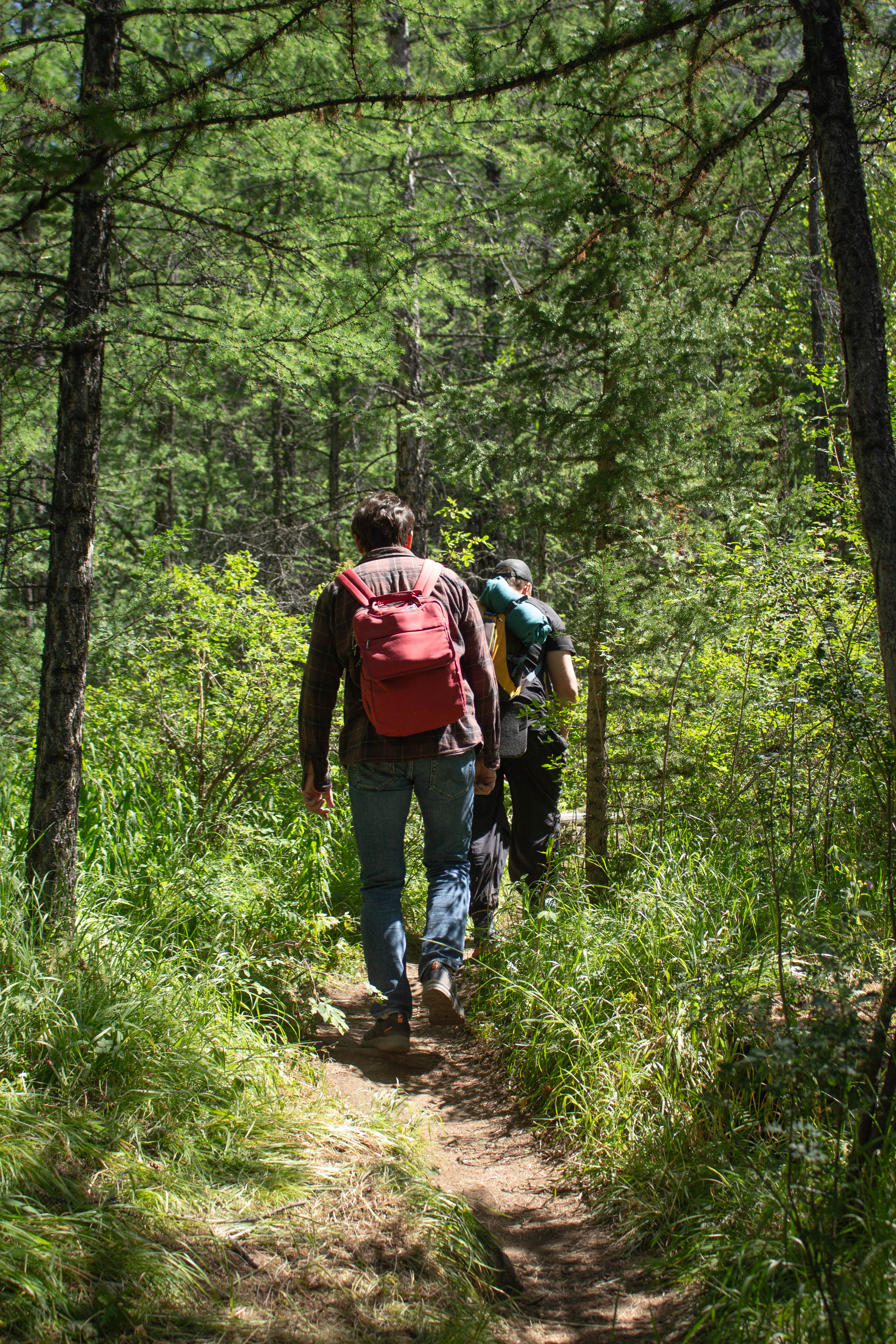 Алтай Драйв: 5 дней свободы. (30/45)