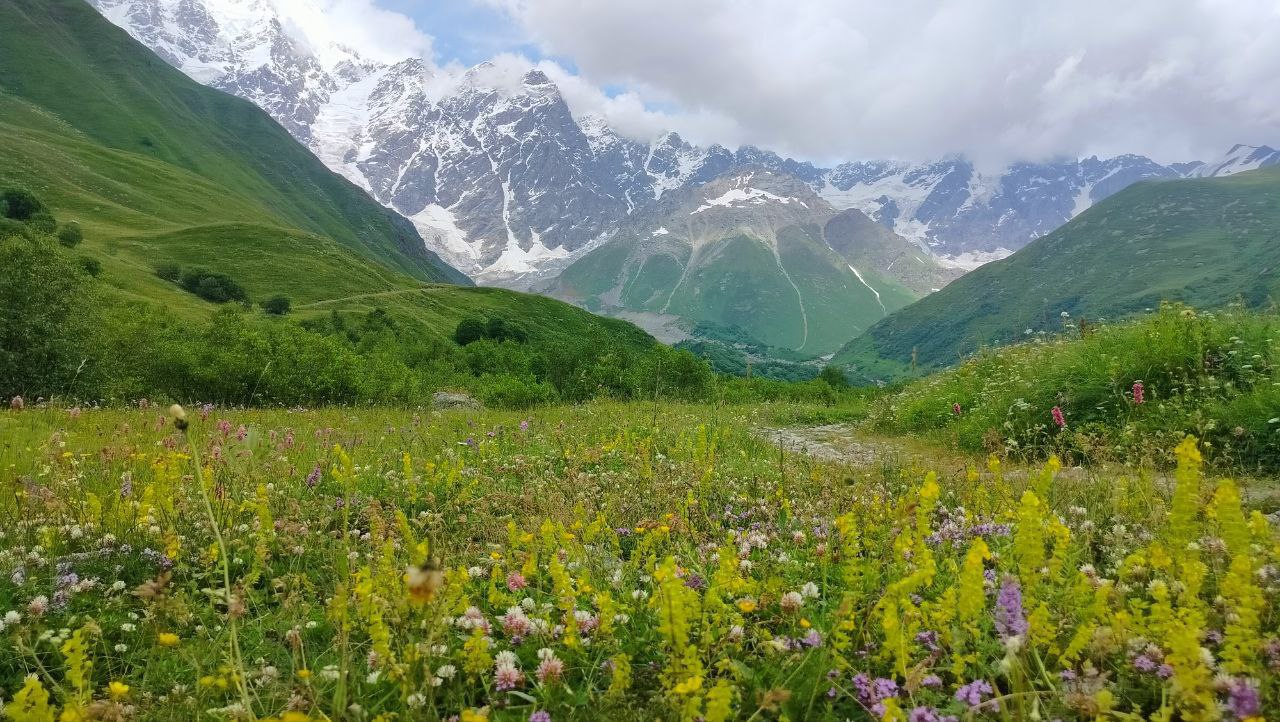 Сердце Кавказа! Сванетия! (37/56)