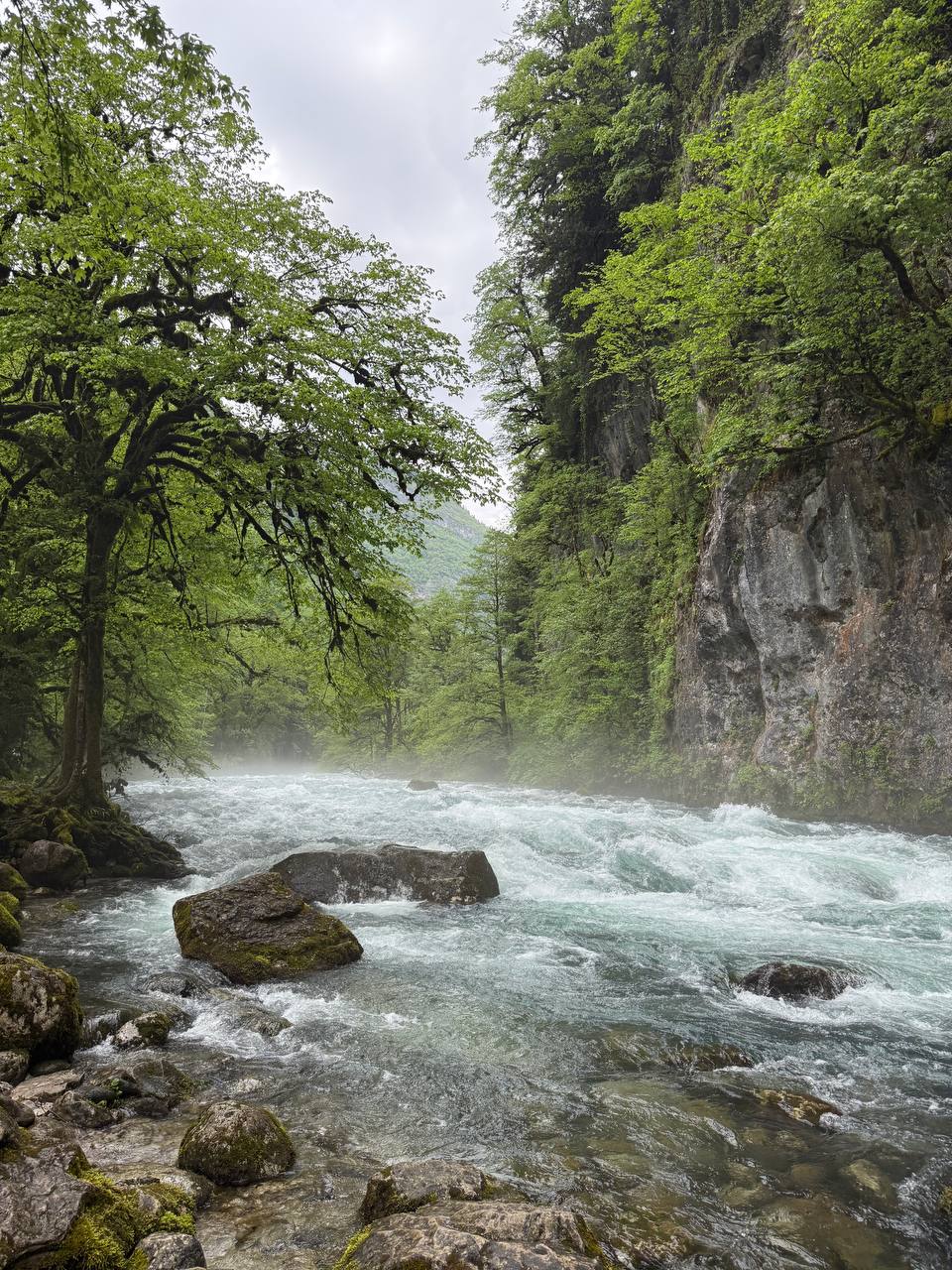 Абхазия. Релакс и экскурсии, тур на 4 дня (51/86)