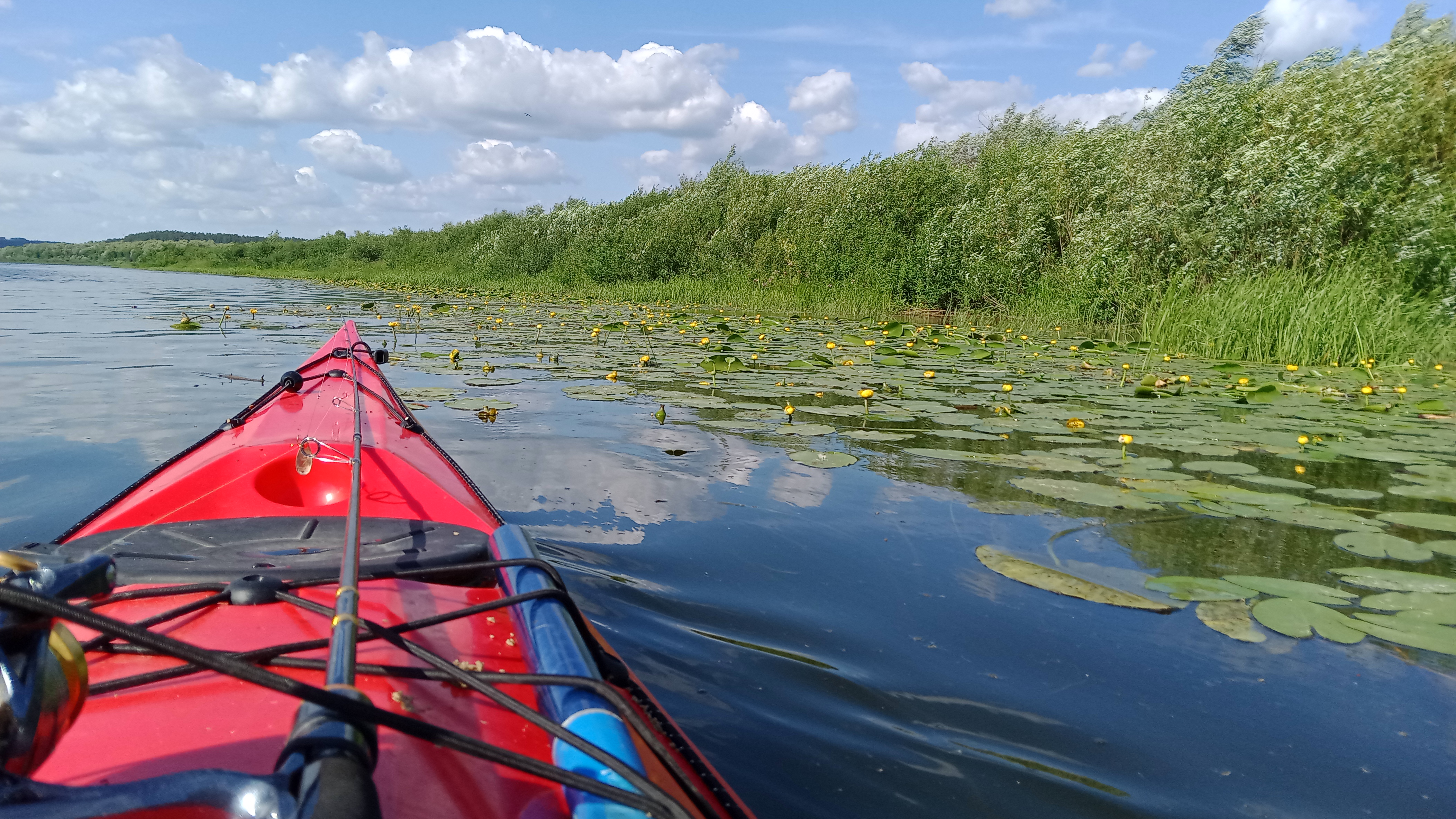 Водный-пеший поход на каяках Таруса-Поленово-Бехово (10/15)