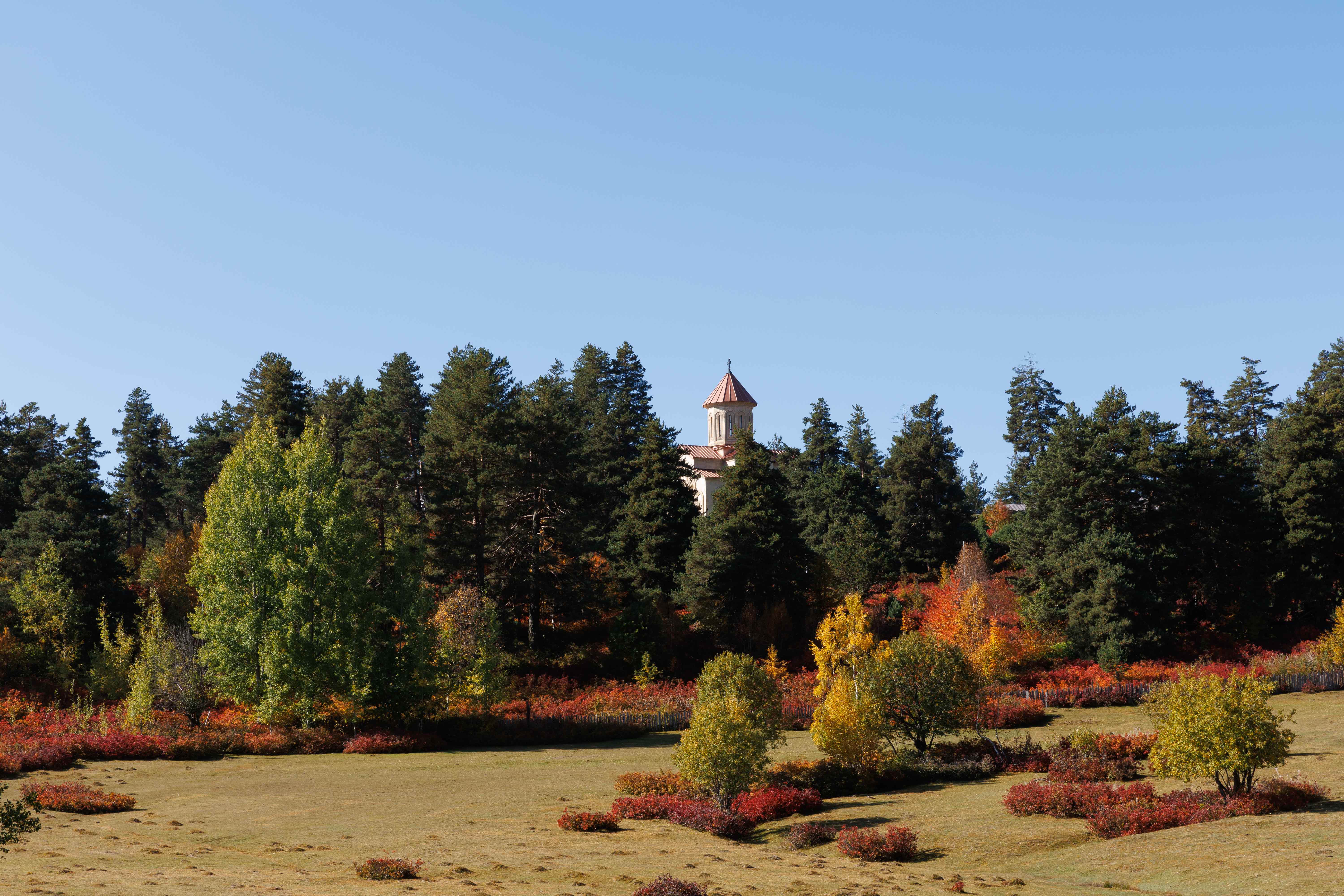 Сердце Кавказа! Сванетия! (25/56)