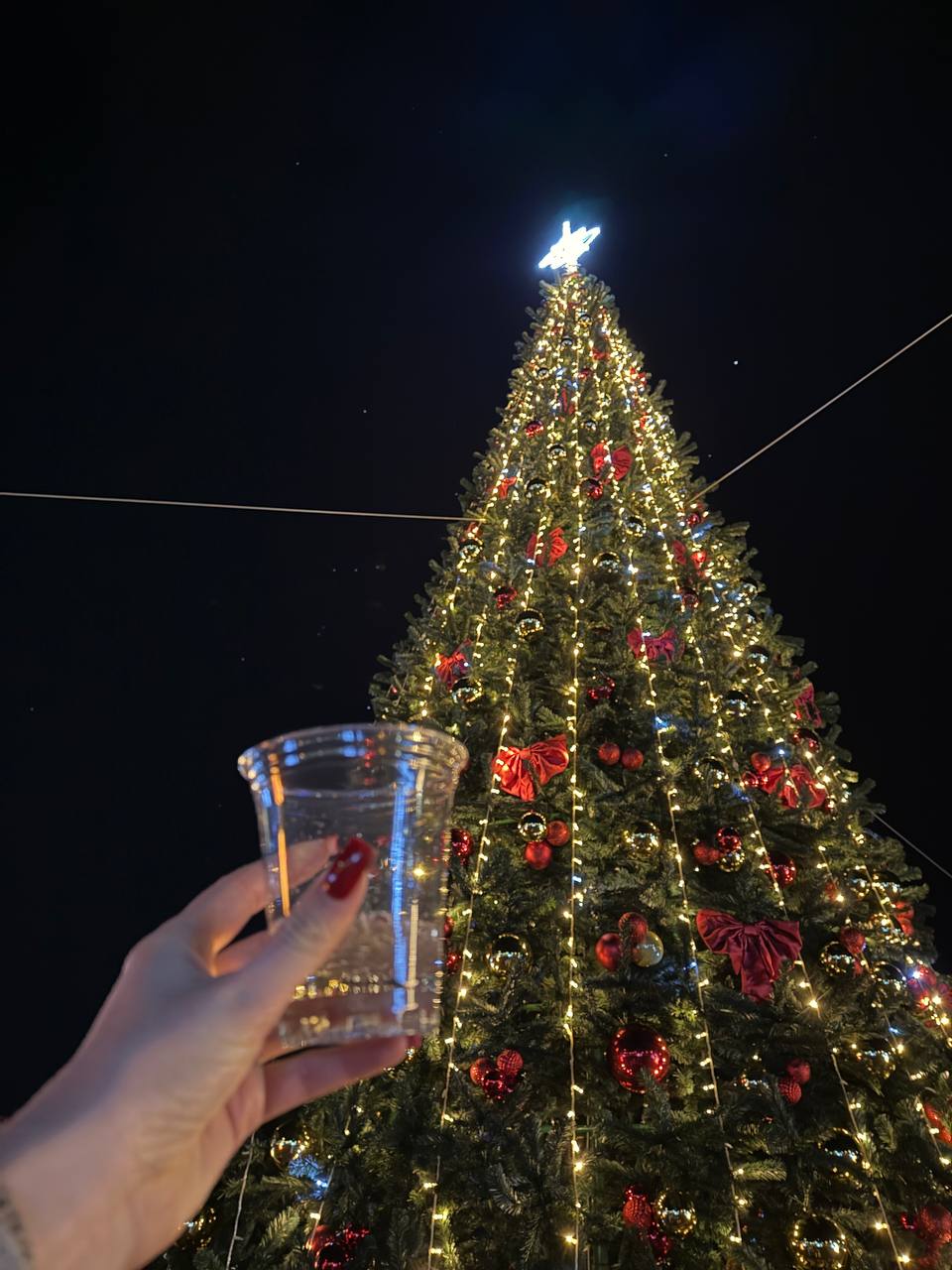 Абхазия. Релакс и экскурсии, тур на 4 дня (46/86)