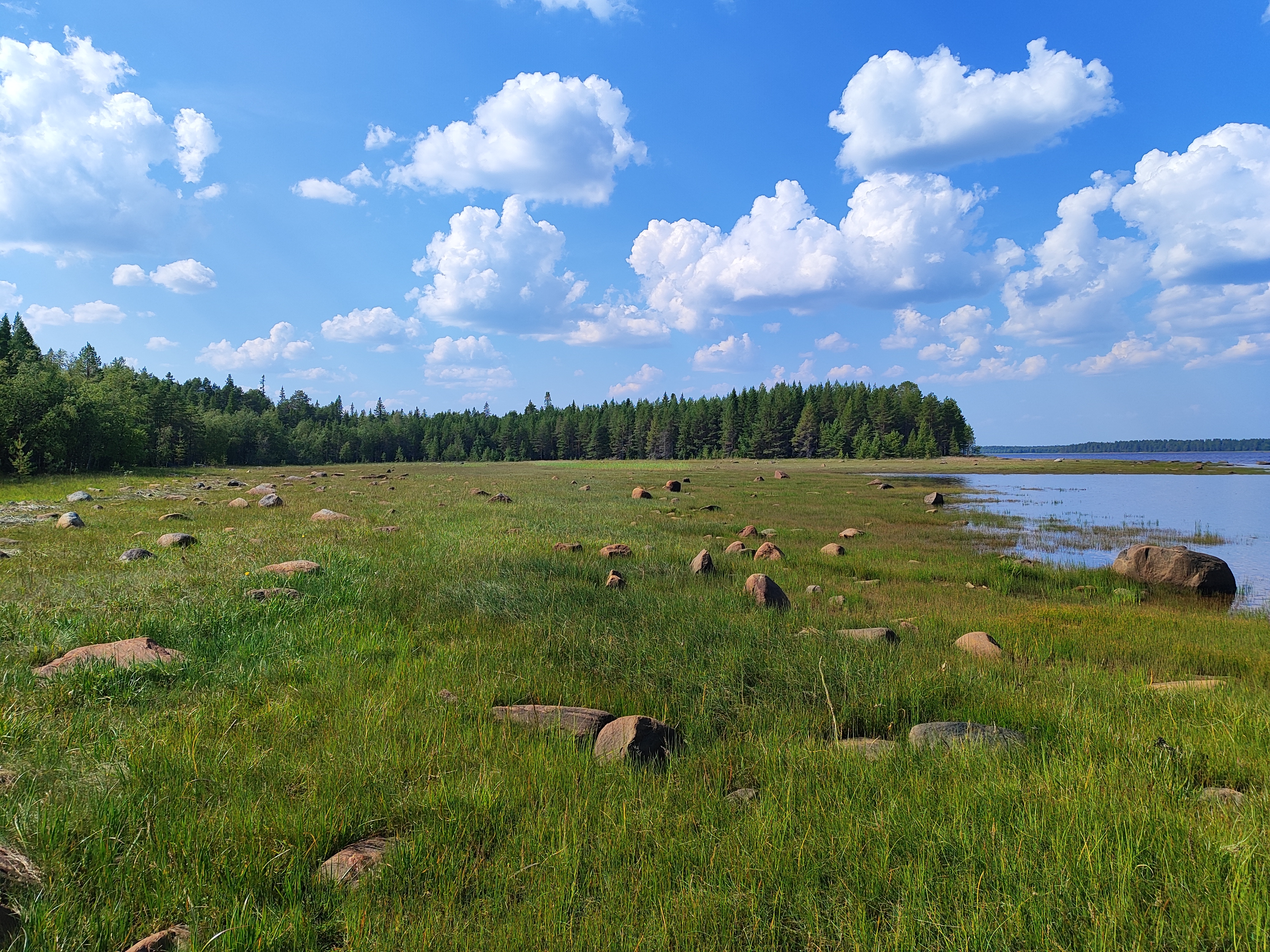 Сплав по реке Калга с выходом в Белое море