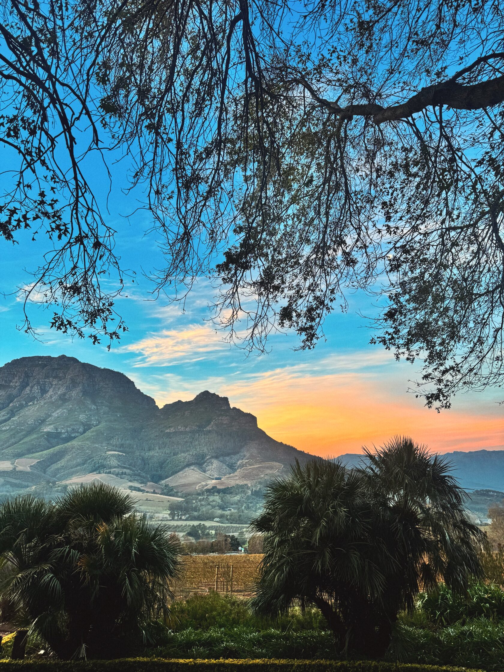 Африканское приключение в Юар (80/109)