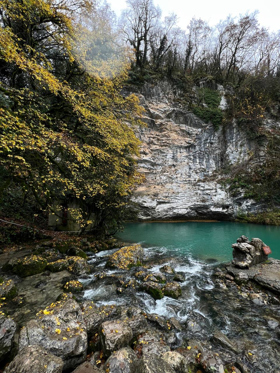 Абхазия. Релакс и экскурсии, тур на 4 дня (40/86)