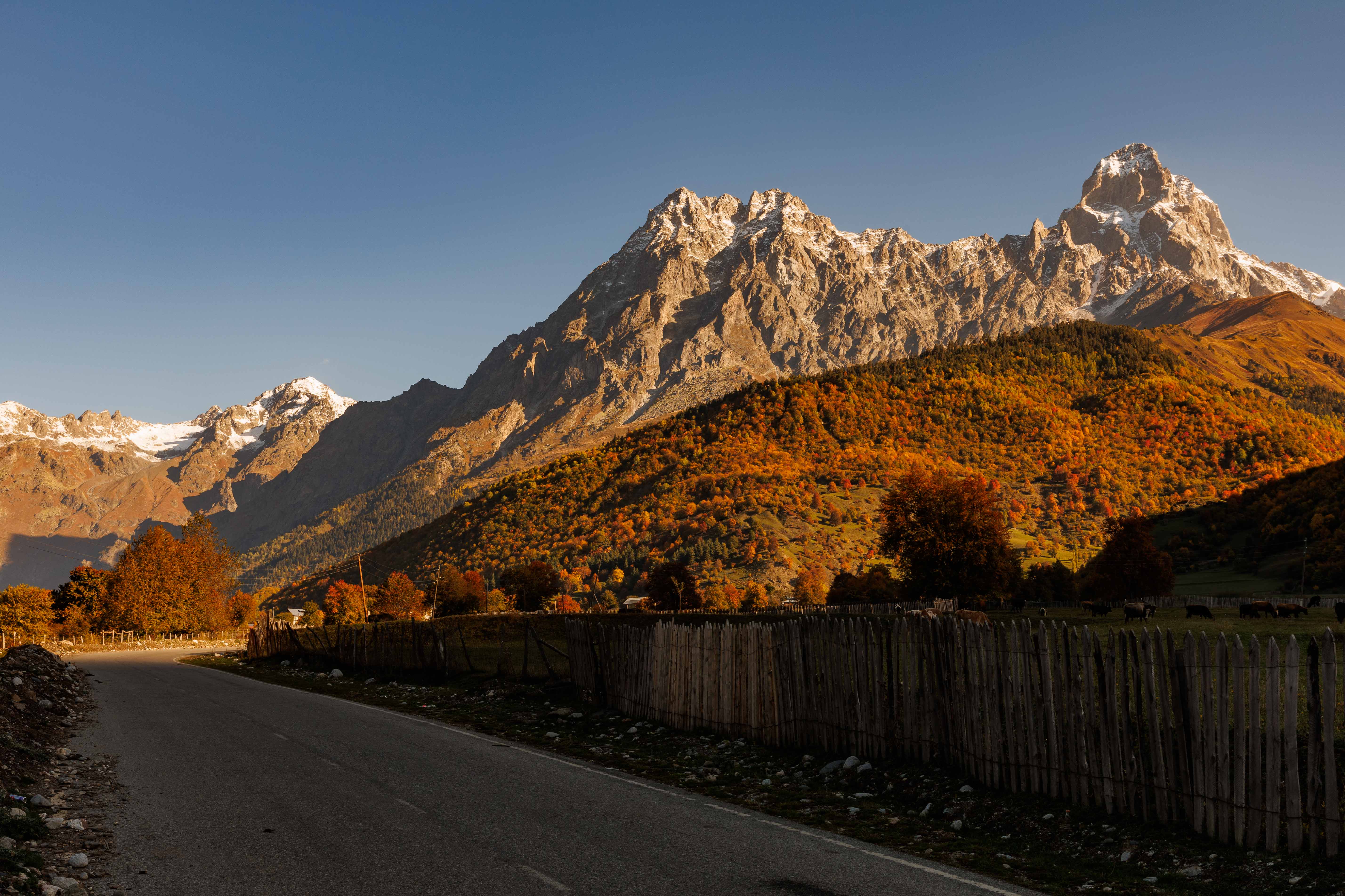 Сердце Кавказа! Сванетия! (16/56)