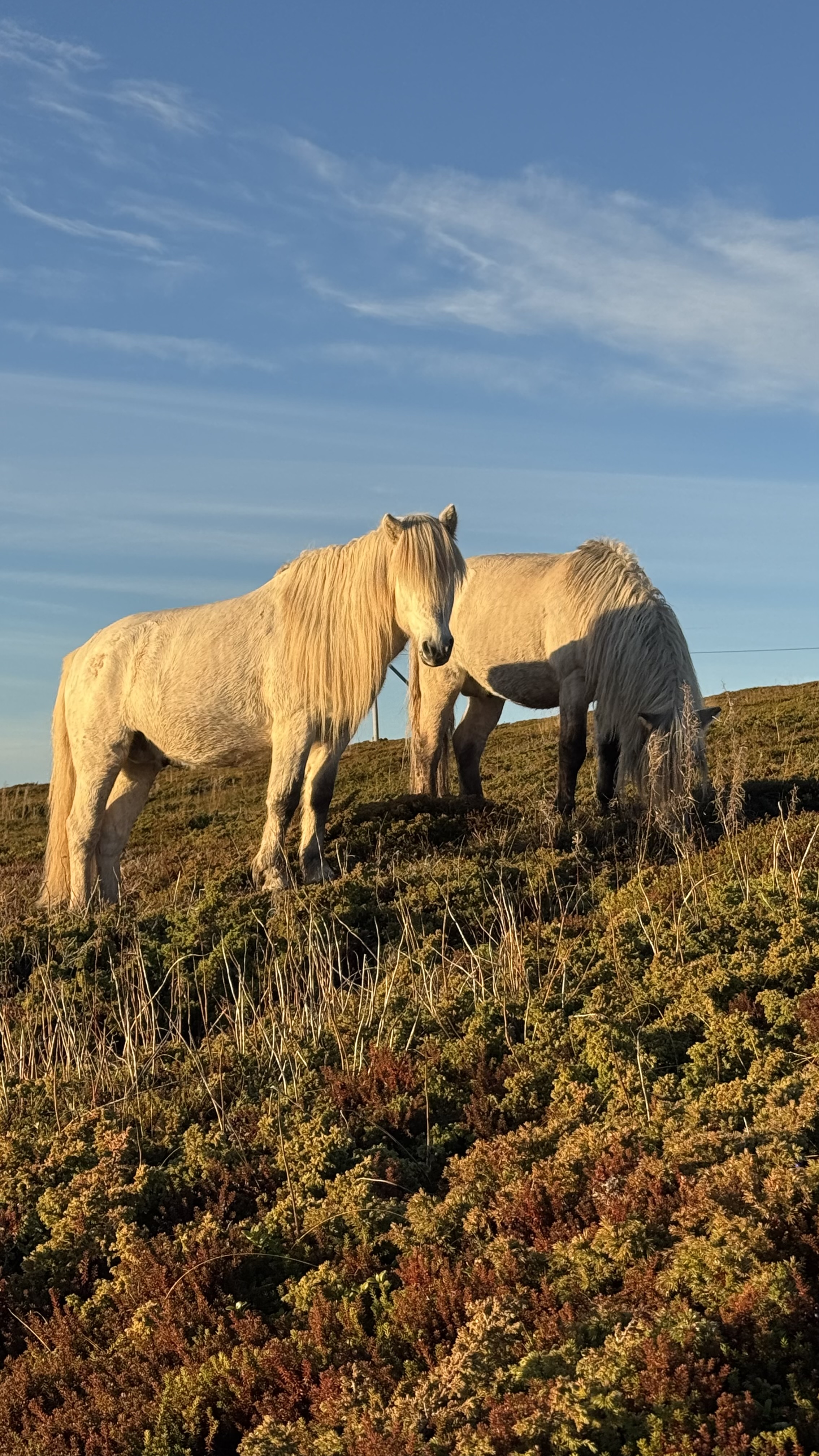 Сокровища Терского берега