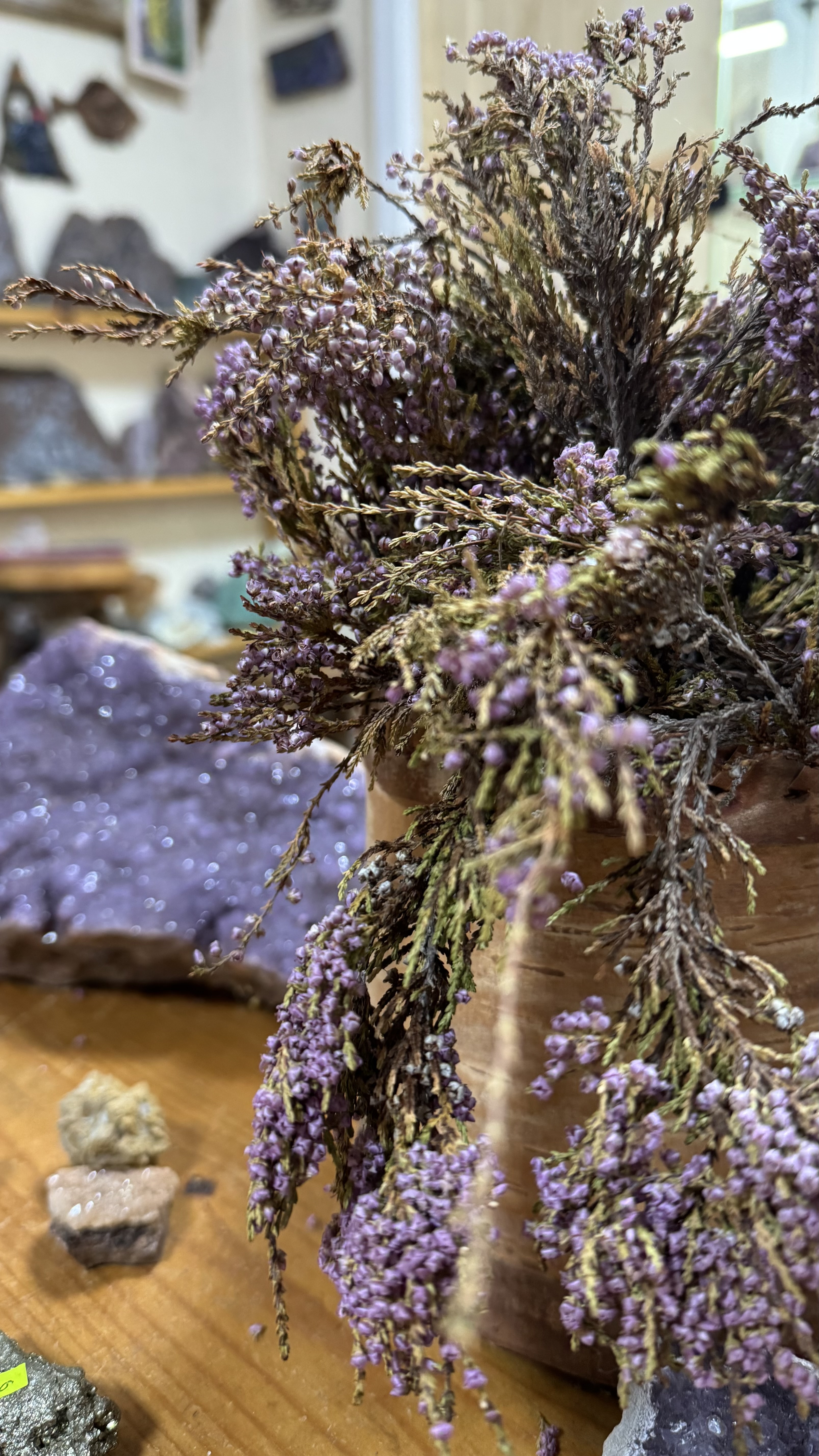 Сокровища Терского берега (28/28)