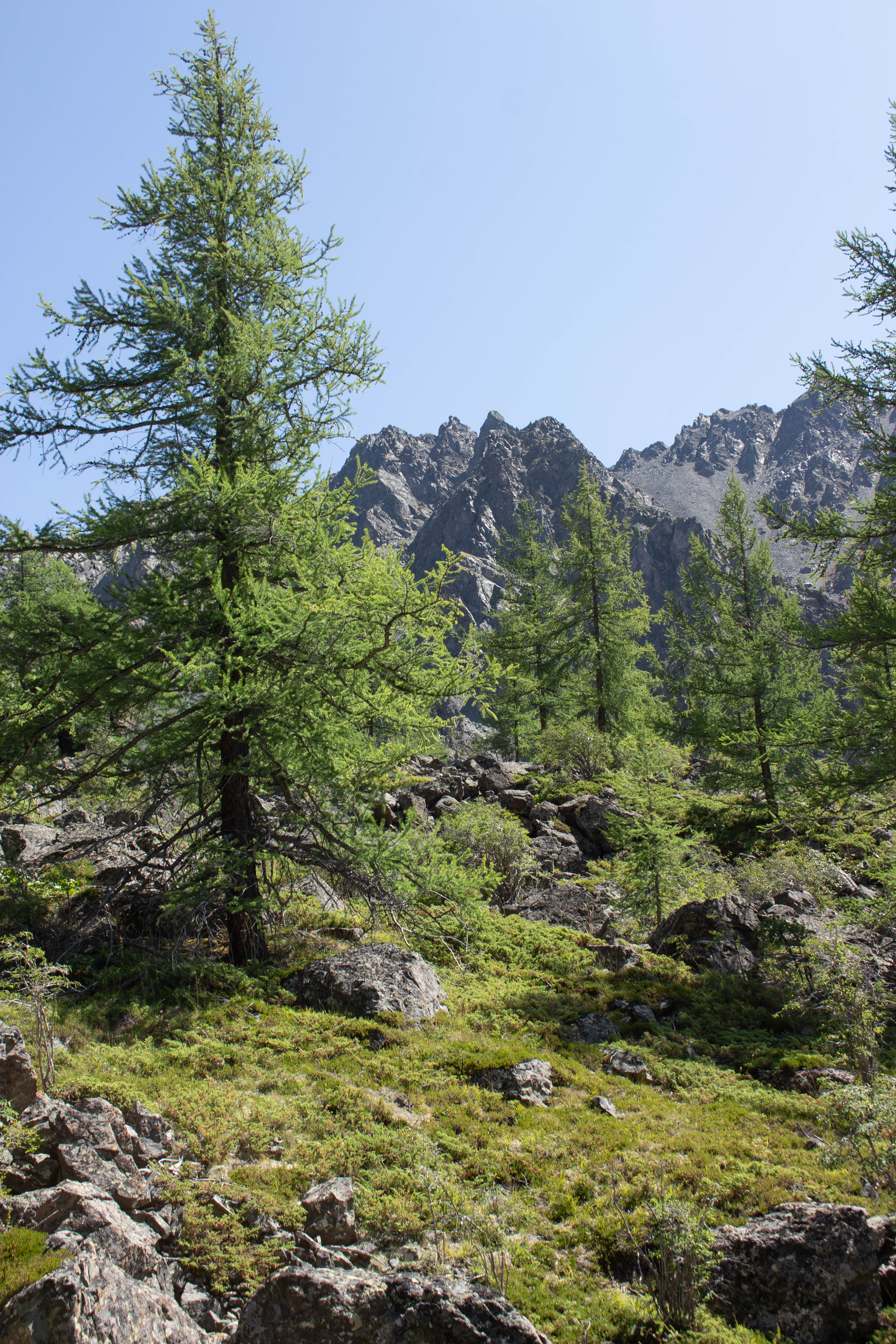 Алтай Драйв: 5 дней свободы. (17/45)