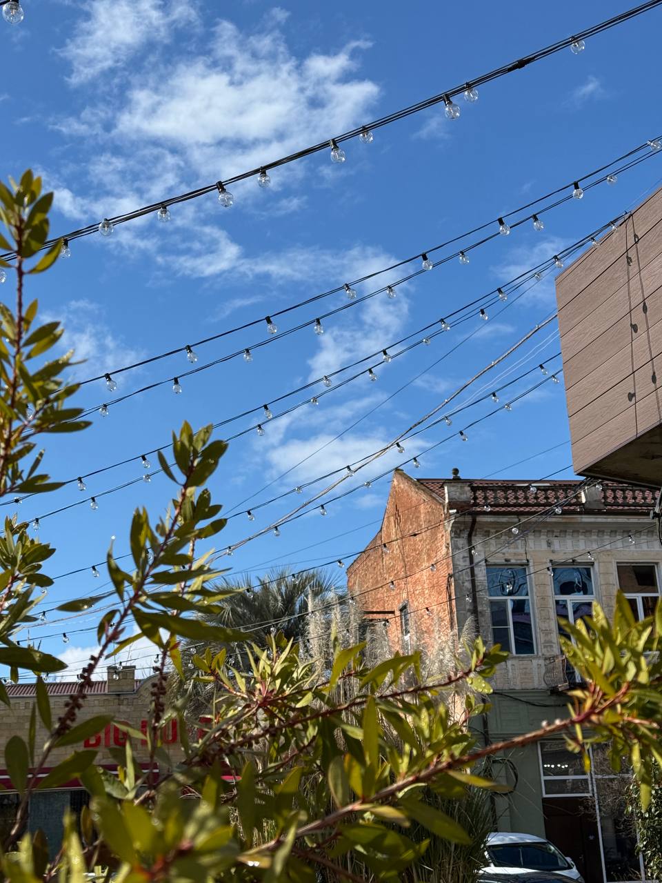 Абхазия. Релакс и экскурсии, тур на 4 дня (67/86)