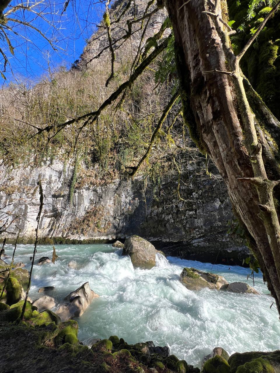 Абхазия. Релакс и экскурсии, тур на 4 дня (71/86)