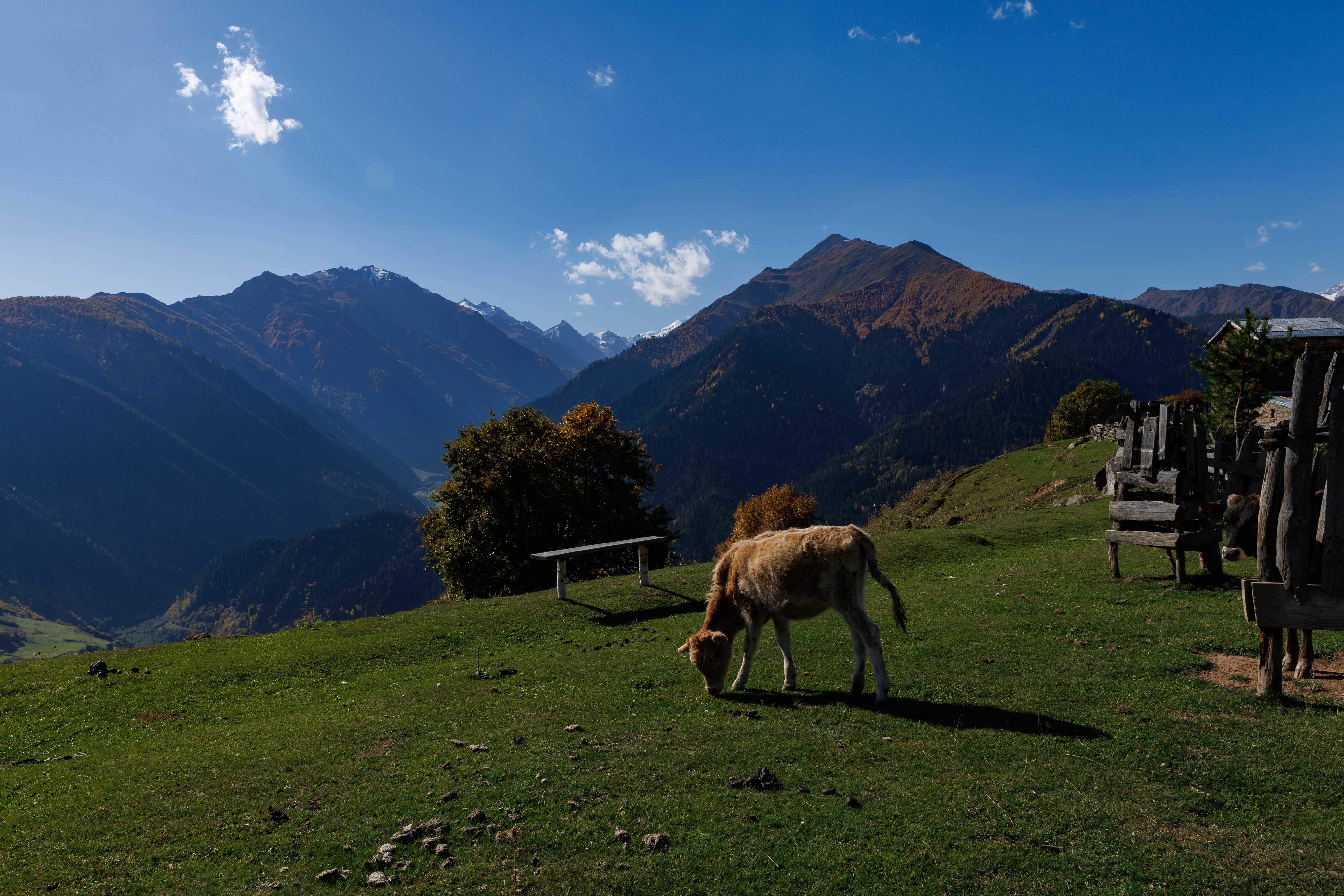 Сердце Кавказа! Сванетия! (27/56)