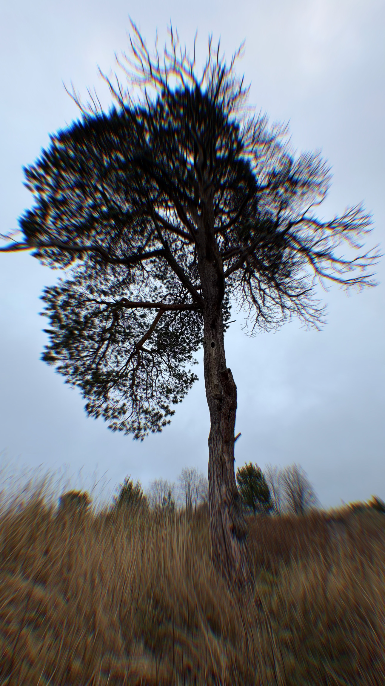 Сокровища Терского берега (23/28)