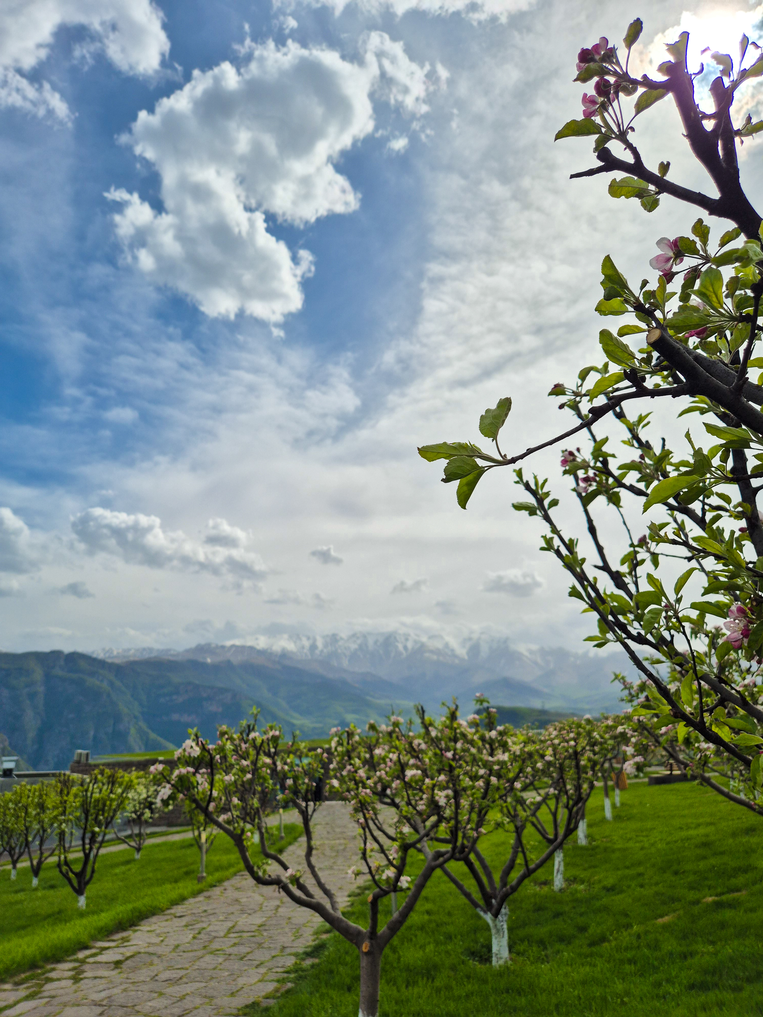 А за тобою Арарат, Армения моя! Топ 7 локаций за 5 дней! (15/64)