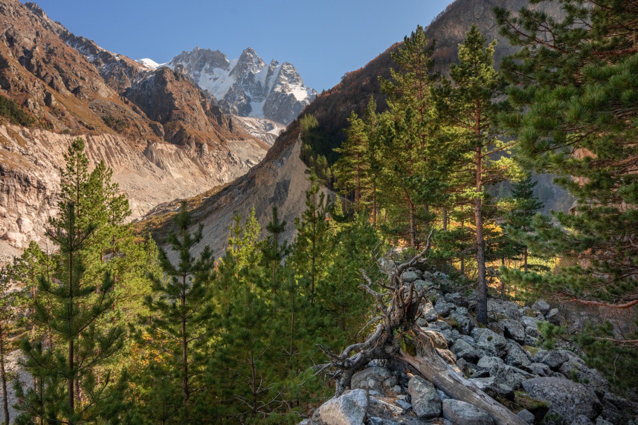 Дигорское ущелье: Горный лагерь в Северной Осетии (13/18)