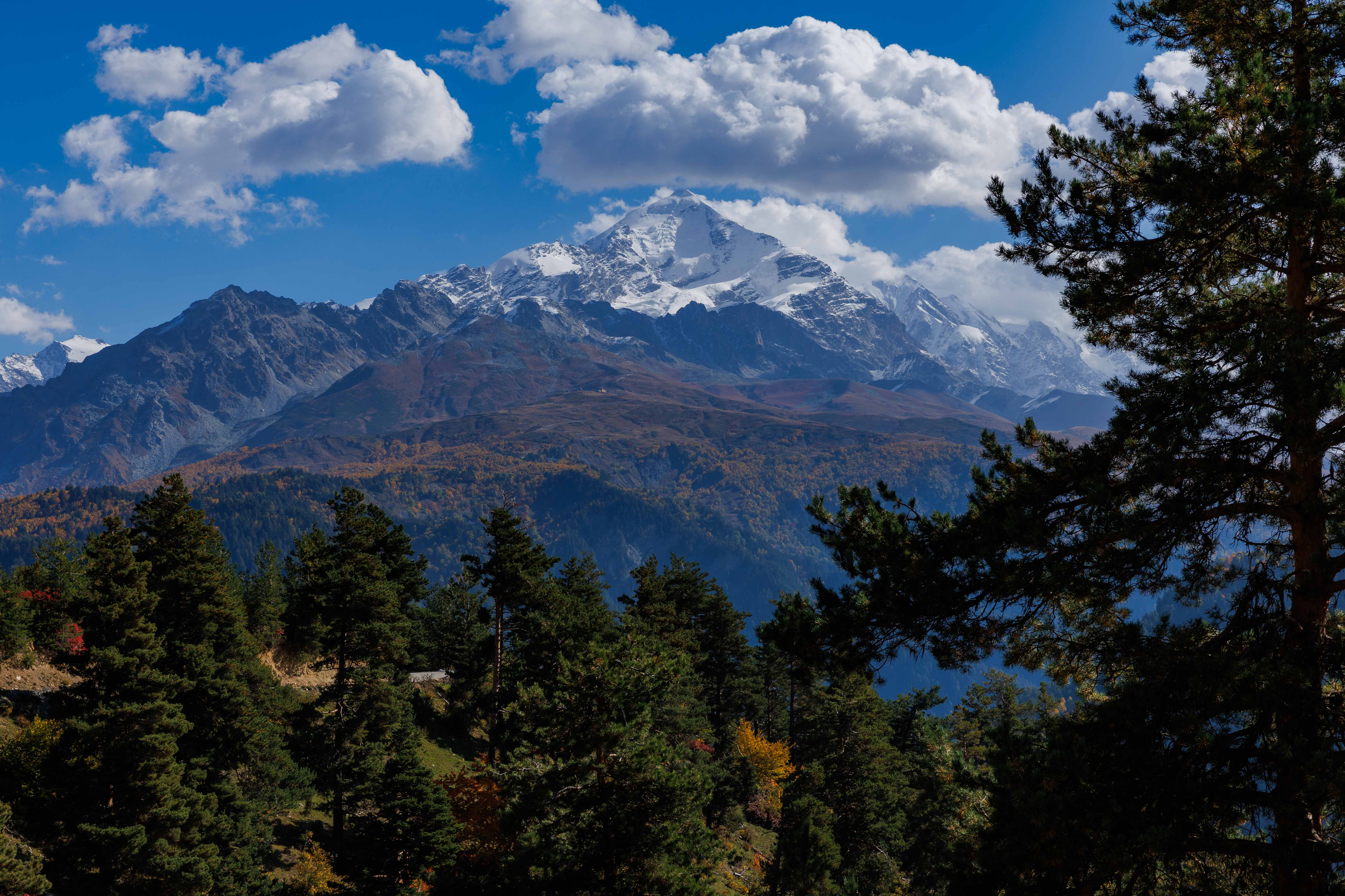 Сердце Кавказа! Сванетия! (28/56)