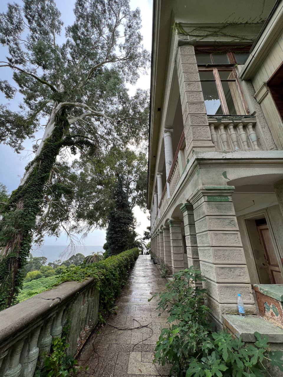 Абхазия. Релакс и экскурсии, тур на 4 дня (39/86)