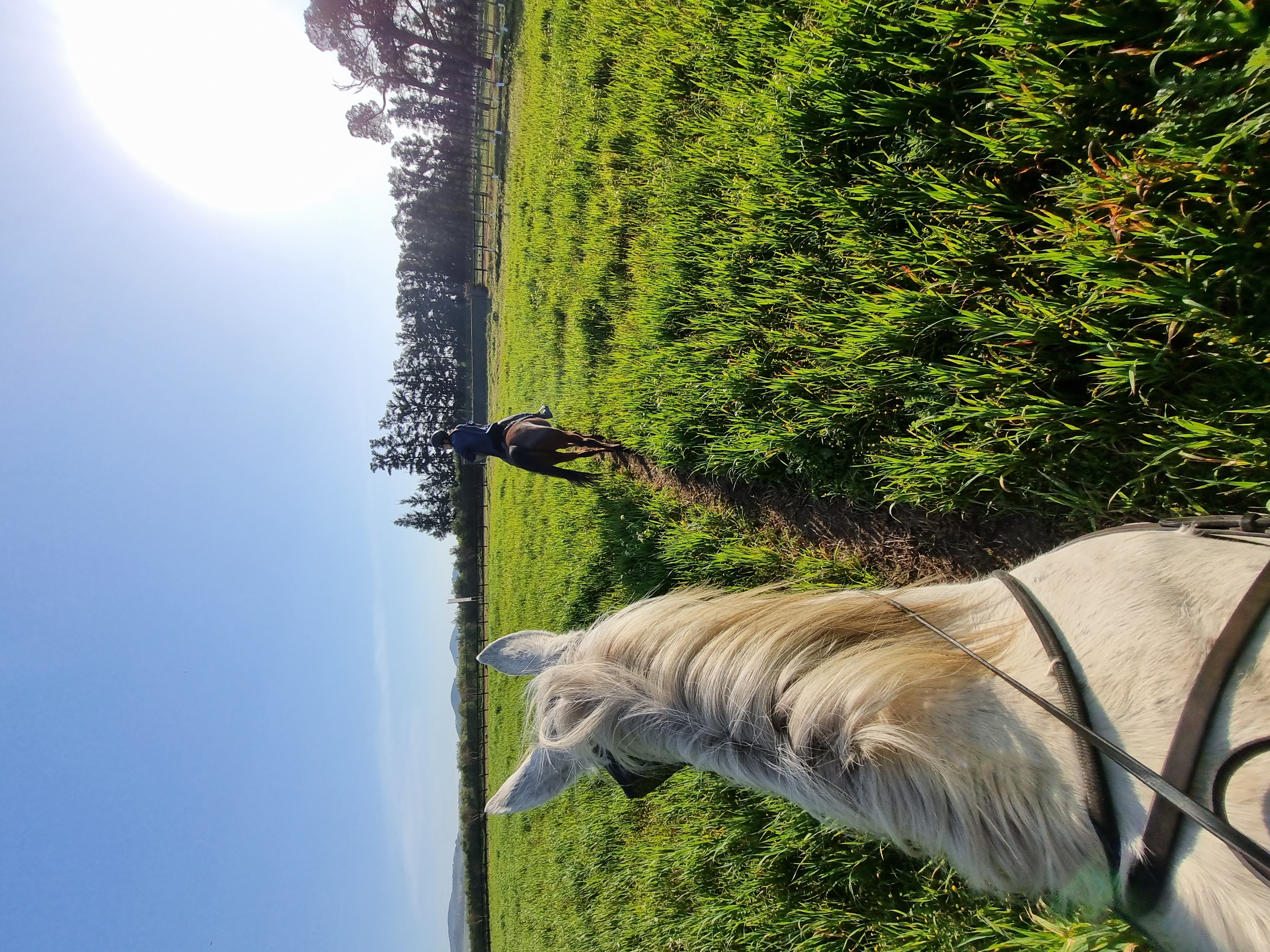 Индивидуальный Конный Тур в Кейптауне (14/37)