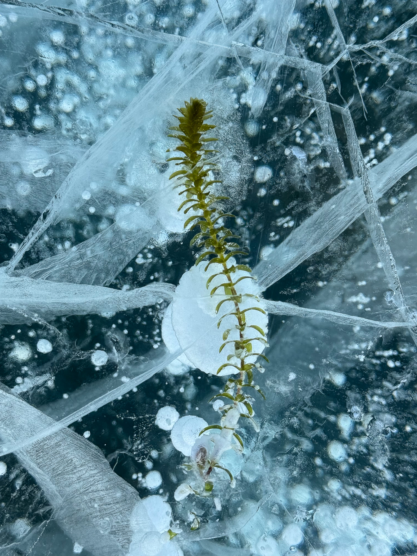 Возвращение в Иркутск