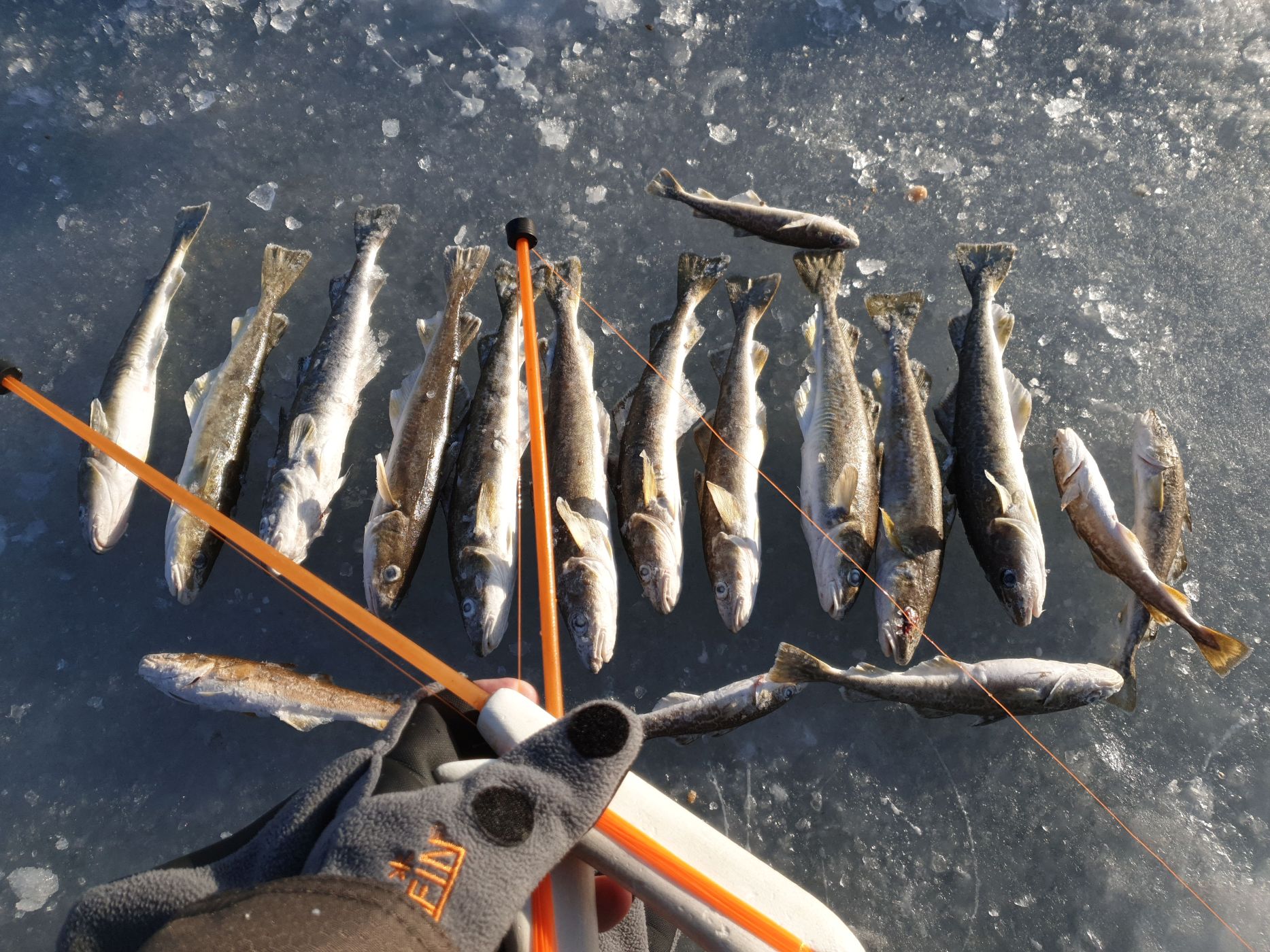 Зимняя подледная рыбалка