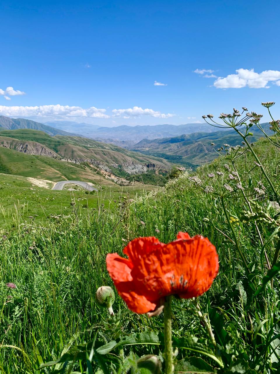 А за тобою Арарат, Армения моя! Топ 7 локаций за 5 дней! (42/64)