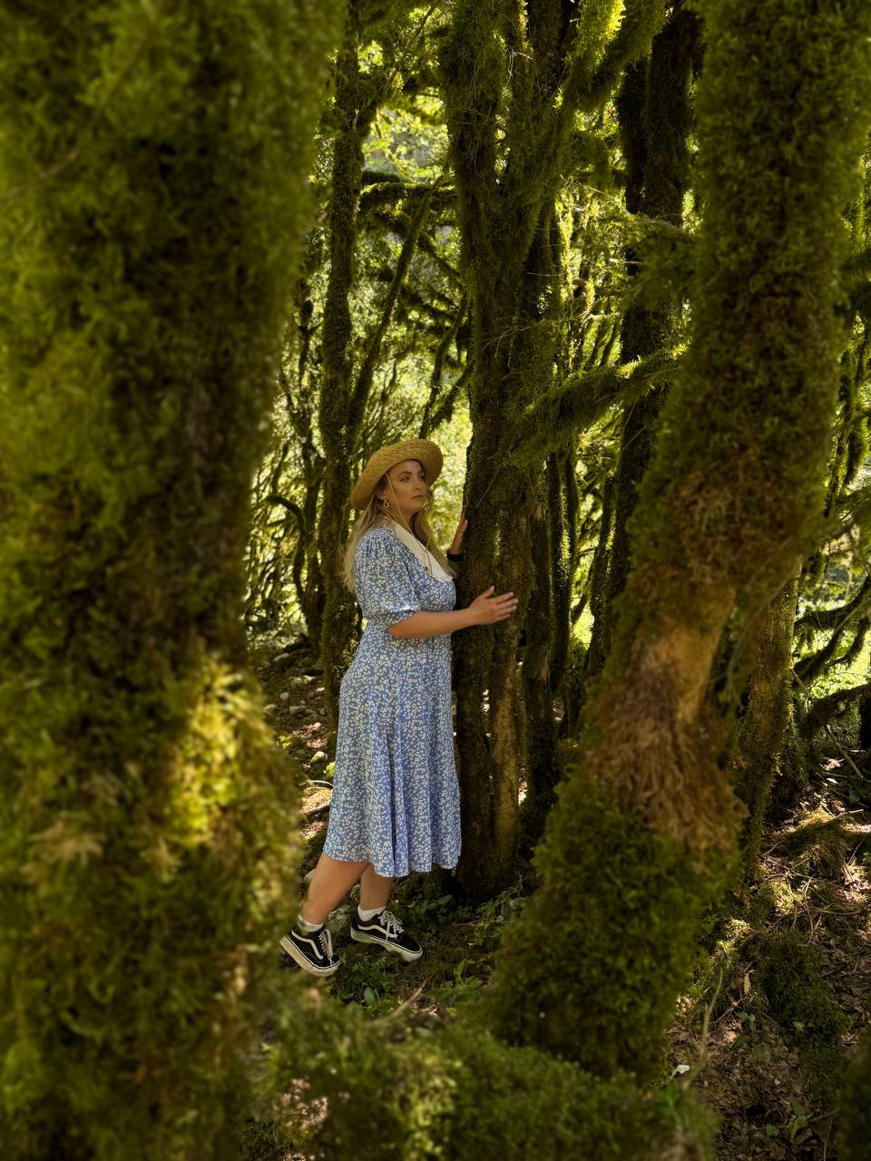 Абхазия. Релакс и экскурсии, тур на 4 дня (52/86)