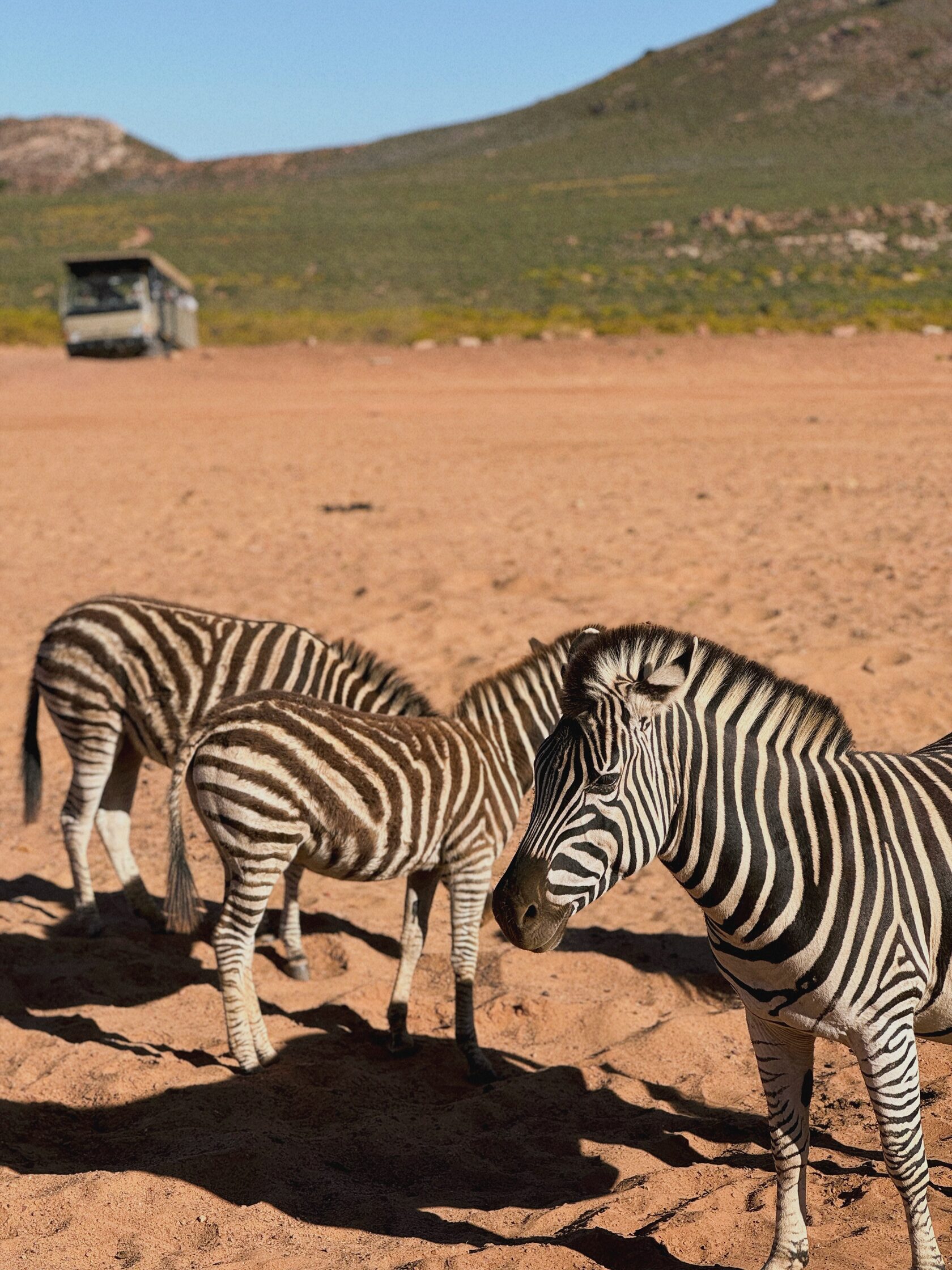 Африканское приключение в Юар (83/109)