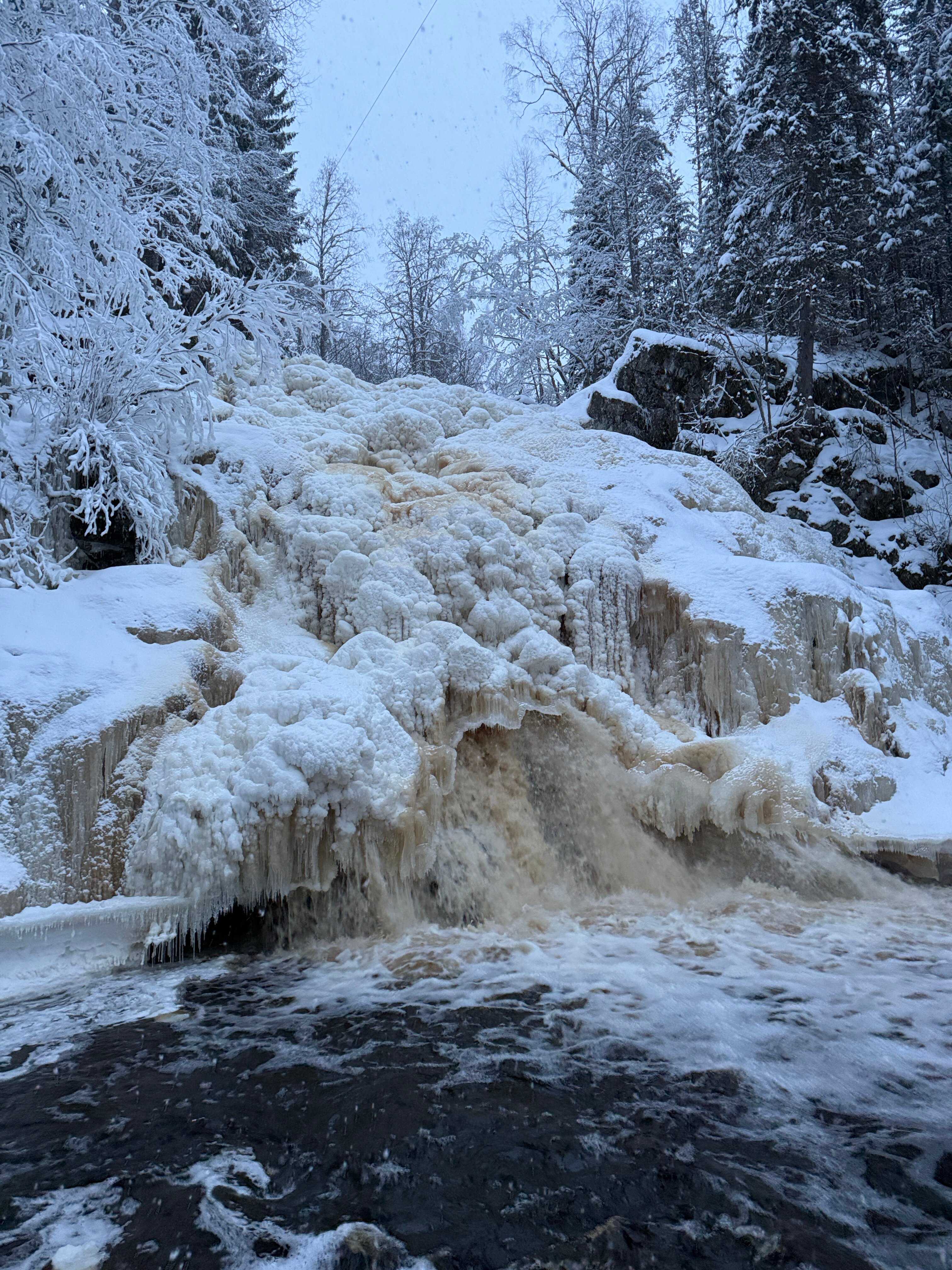 Поезд Деда Мороза, путешествие в зимнюю сказку