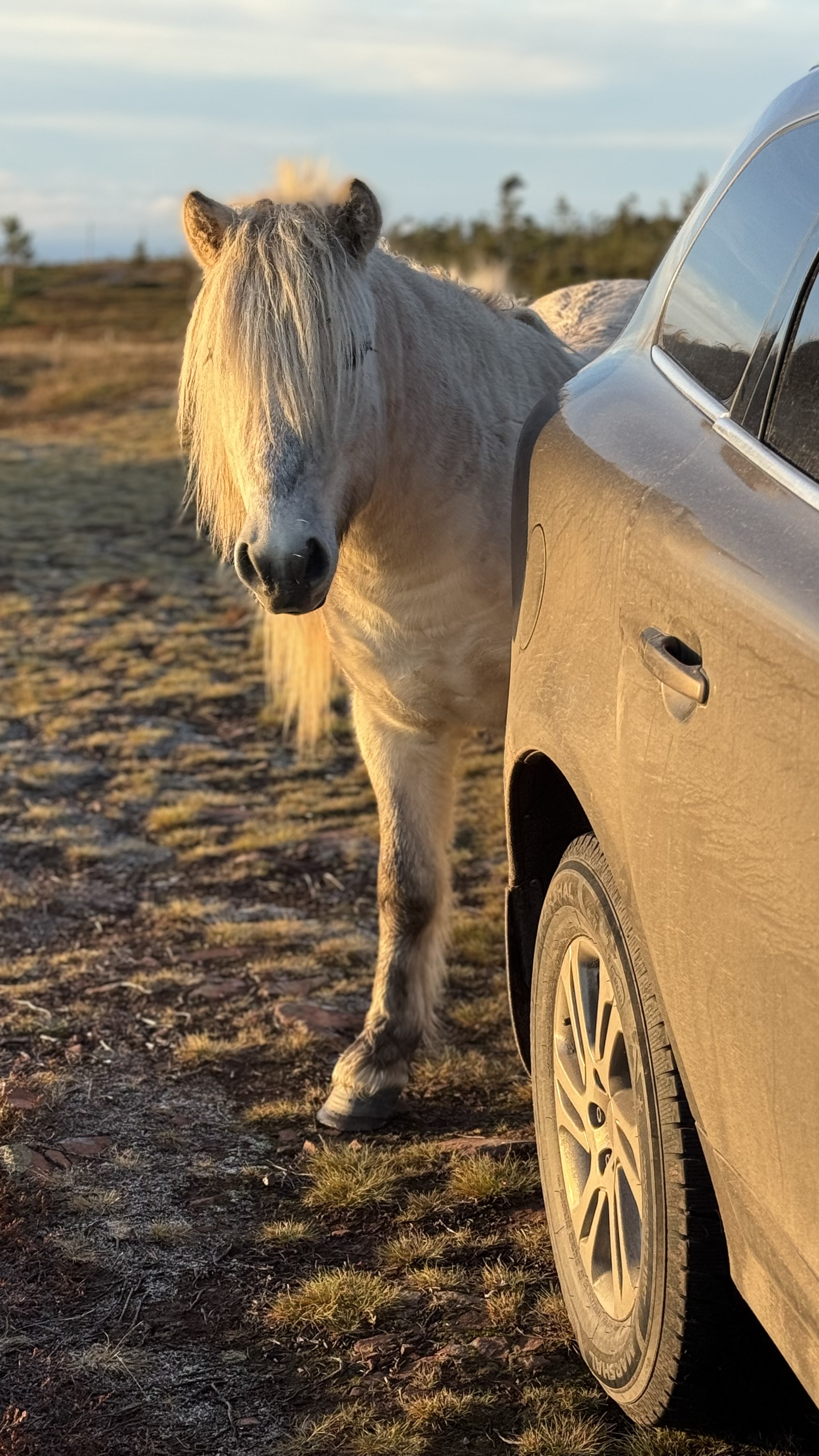 Сокровища Терского берега (19/28)