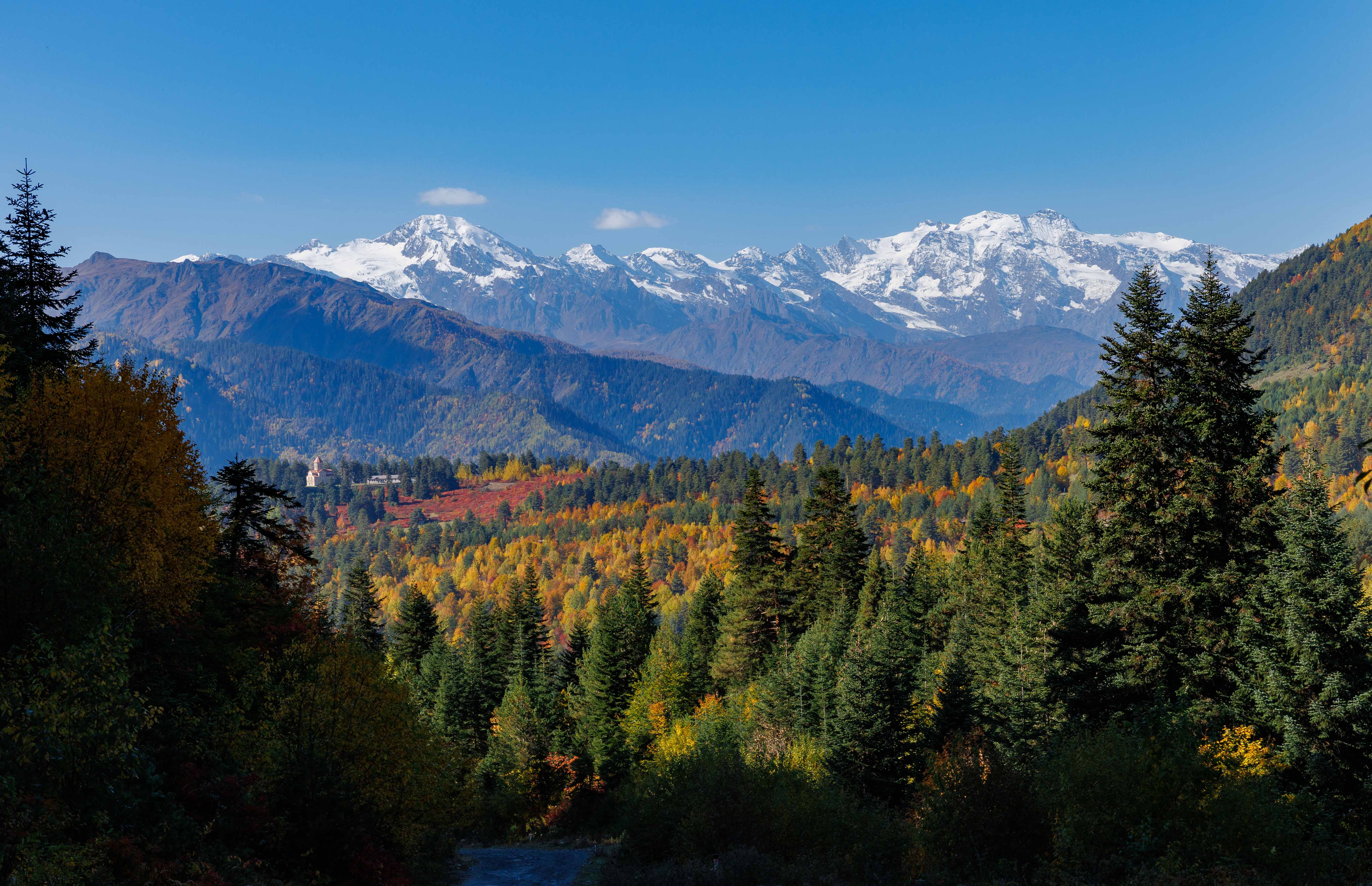 Сердце Кавказа! Сванетия! (24/56)