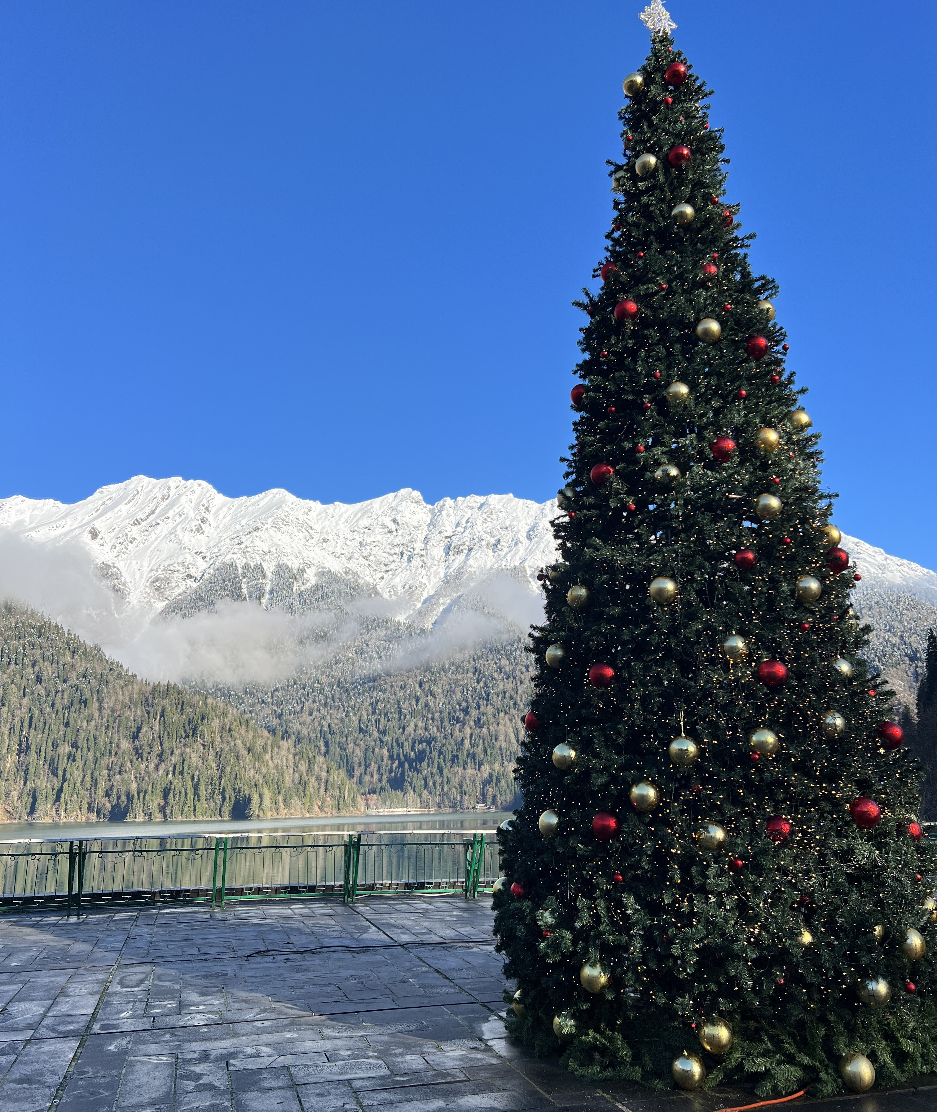 Новогодняя Абхазия. Релакс и экскурсии, тур на 4 дня