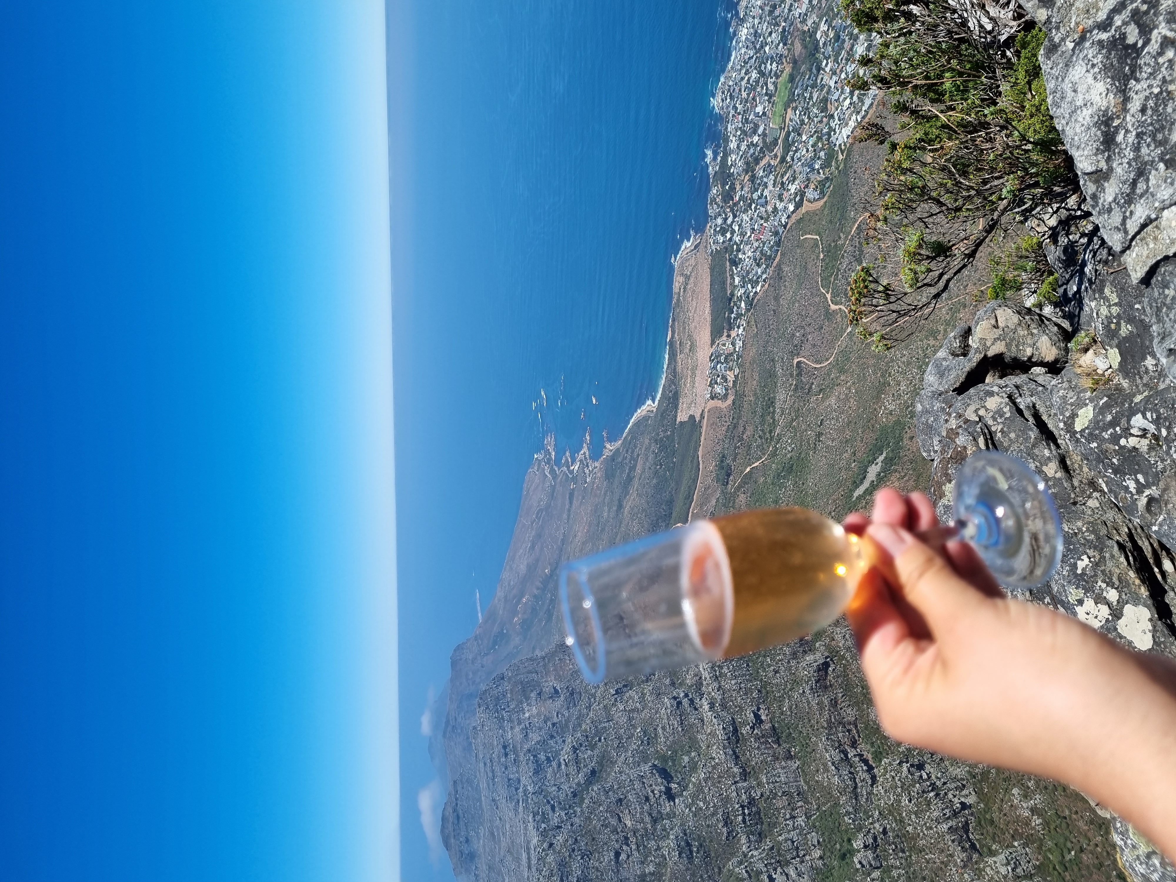 Индивидуальный Конный Тур в Кейптауне (11/37)