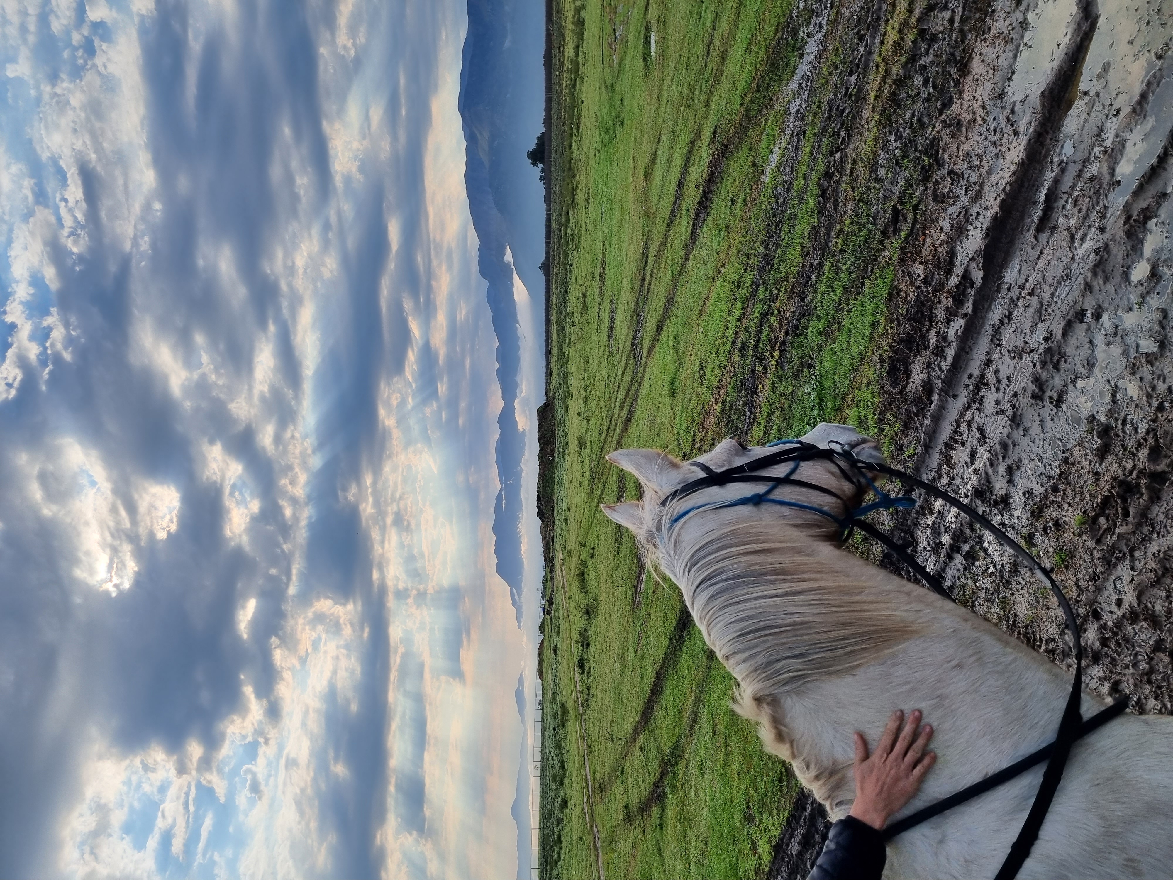 Индивидуальный Конный Тур в Кейптауне (15/37)