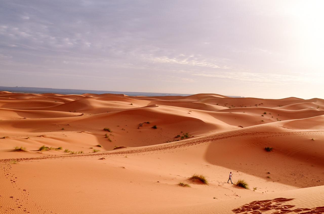 Новый год в Марокко: голубой город, океан и пустыня Сахара (6/27)