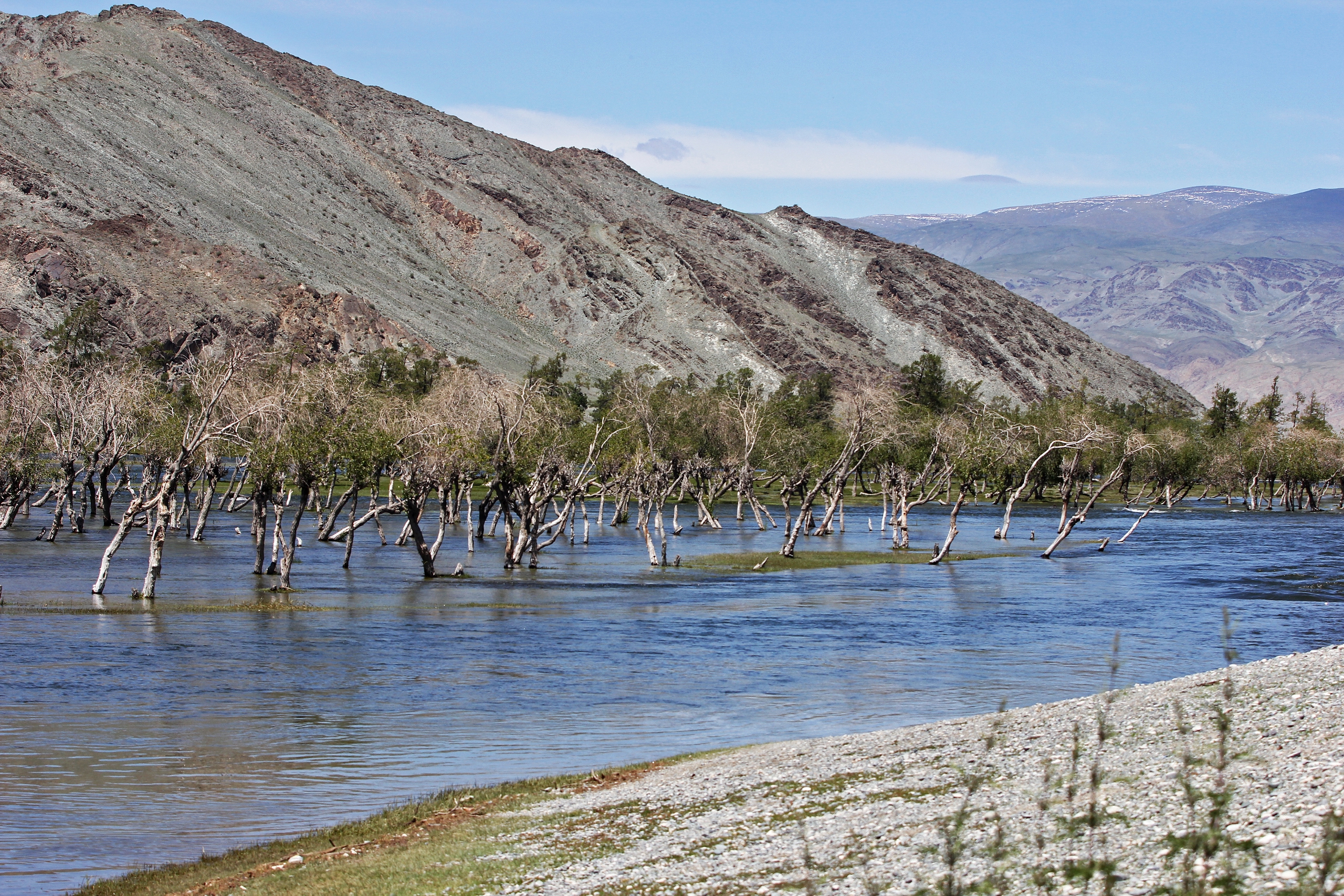 Монголия: 49 параллель. (4/25)