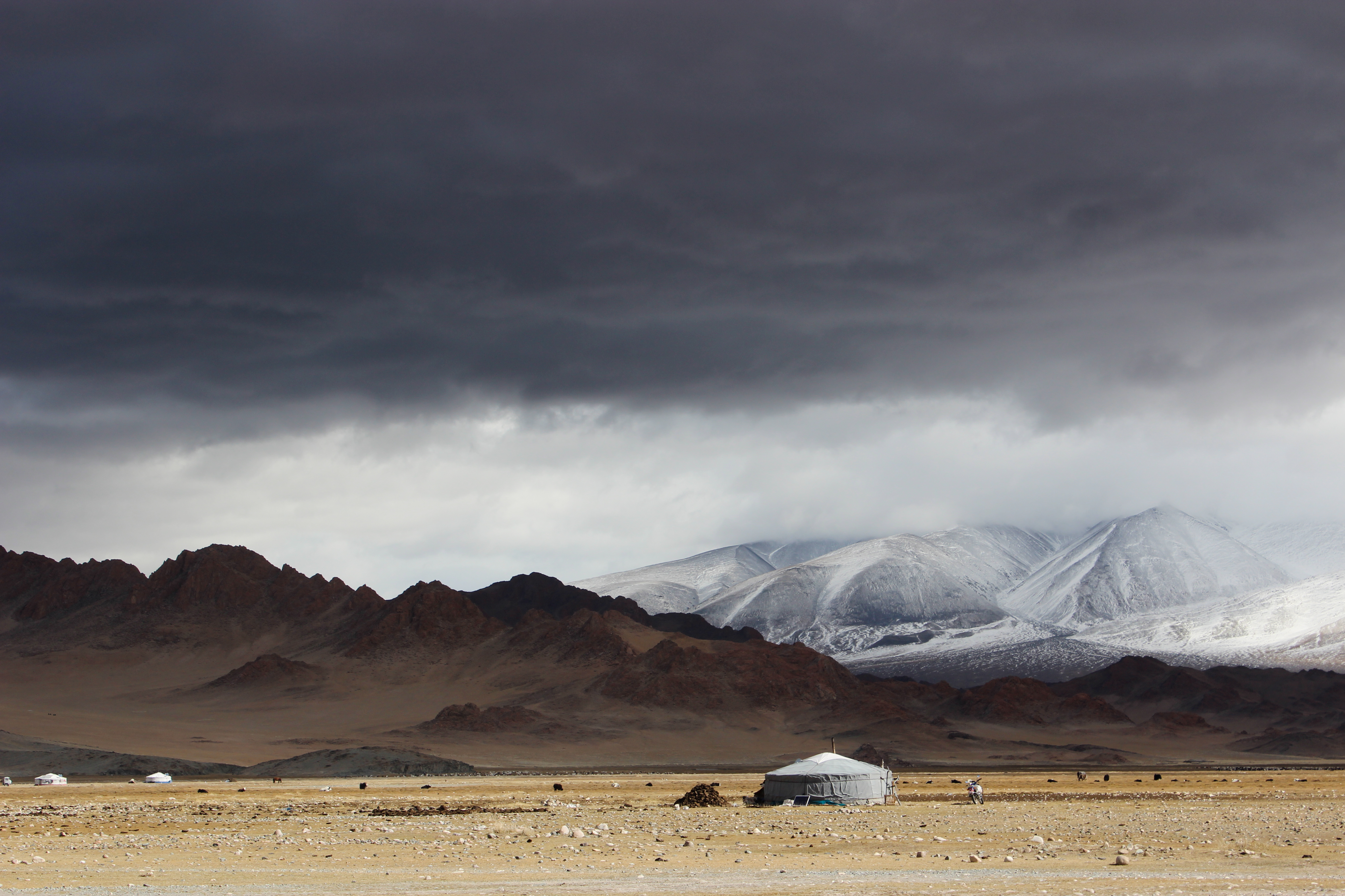 Монголия: охотники ветра. (12/26)